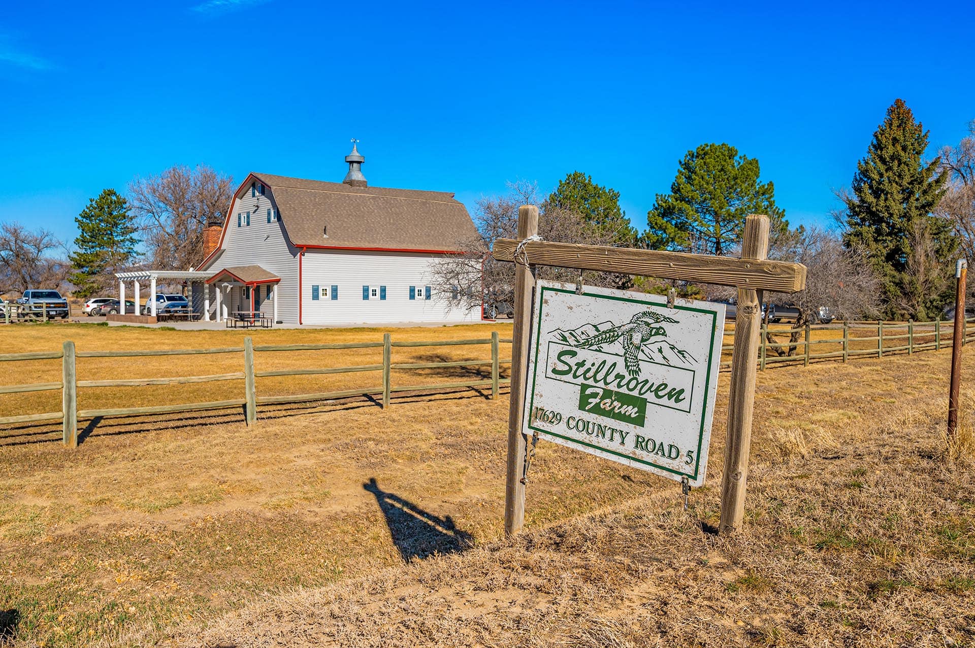 Pheasant Hunting Property Colorado Stillroven Farm Pheasant & Kennel Club