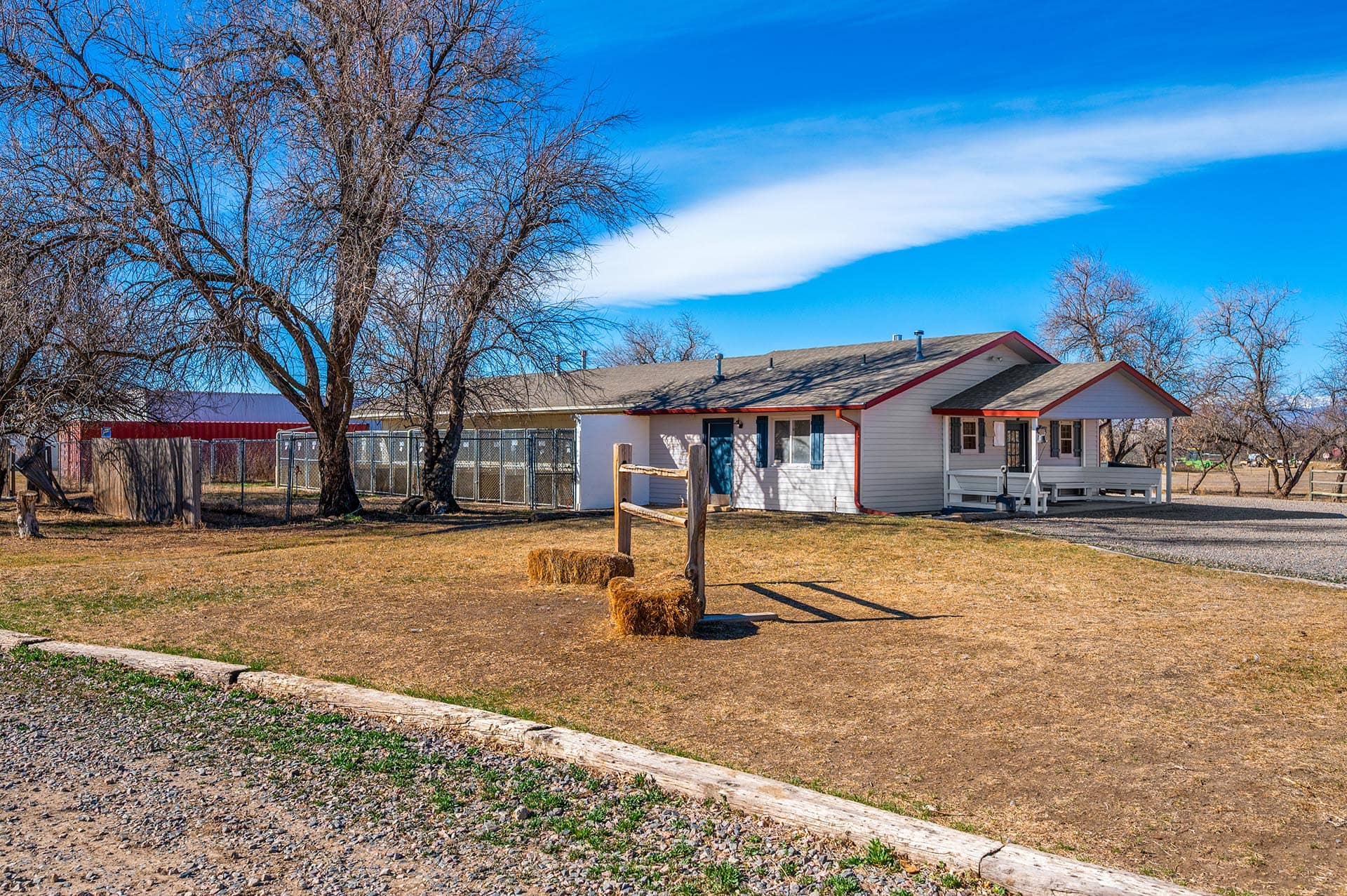 Pheasant Hunting Property Nearby Colorado Stillroven Farm Pheasant & Kennel Club