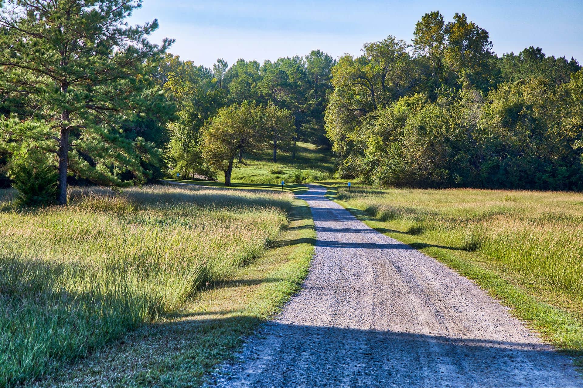 Private Texas ranch offering hunting and grazing Whitehall Ranch