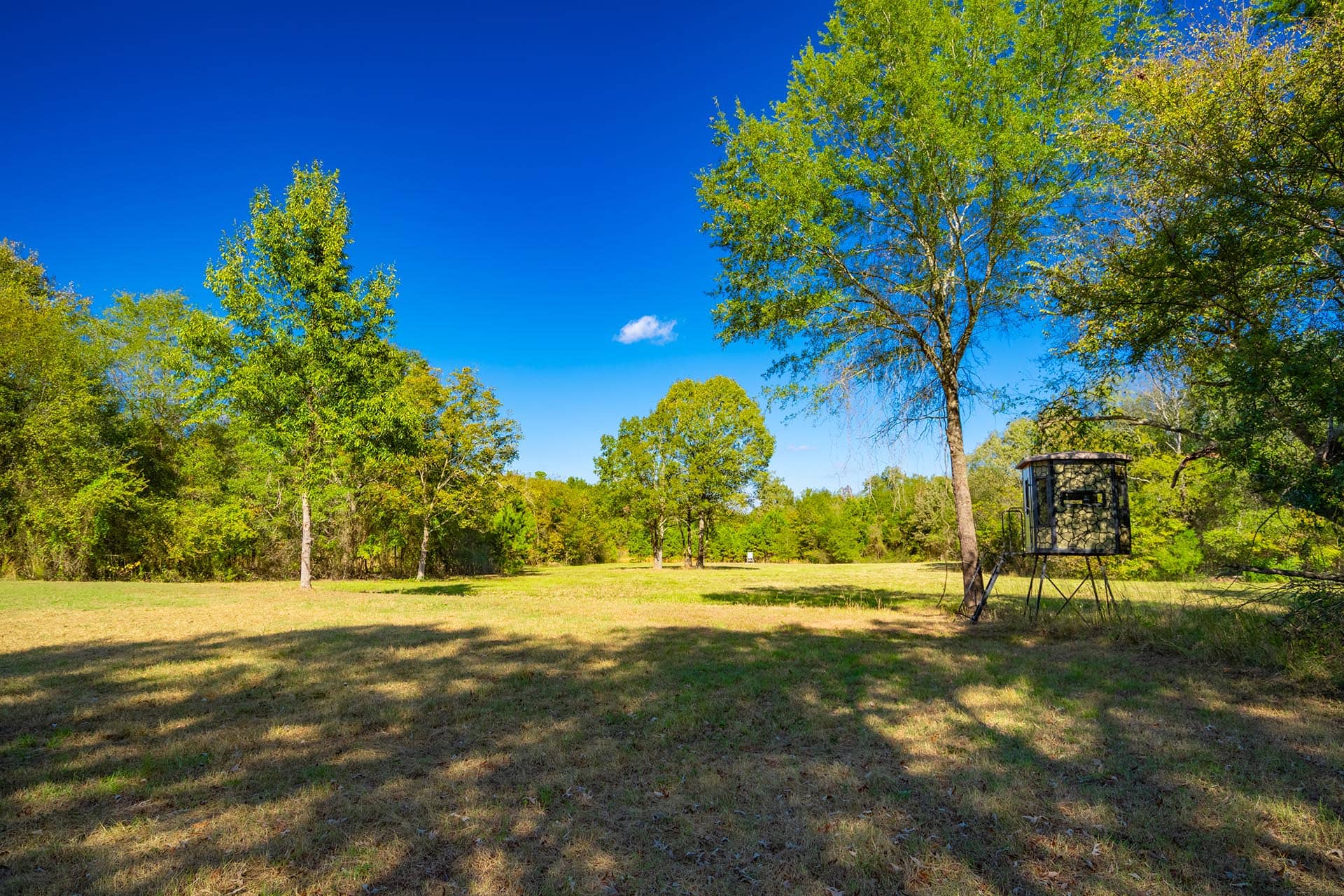 Private waterfront ranch near Winnsboro Texas Red Barn Ranch on Lake Bob Sandlin