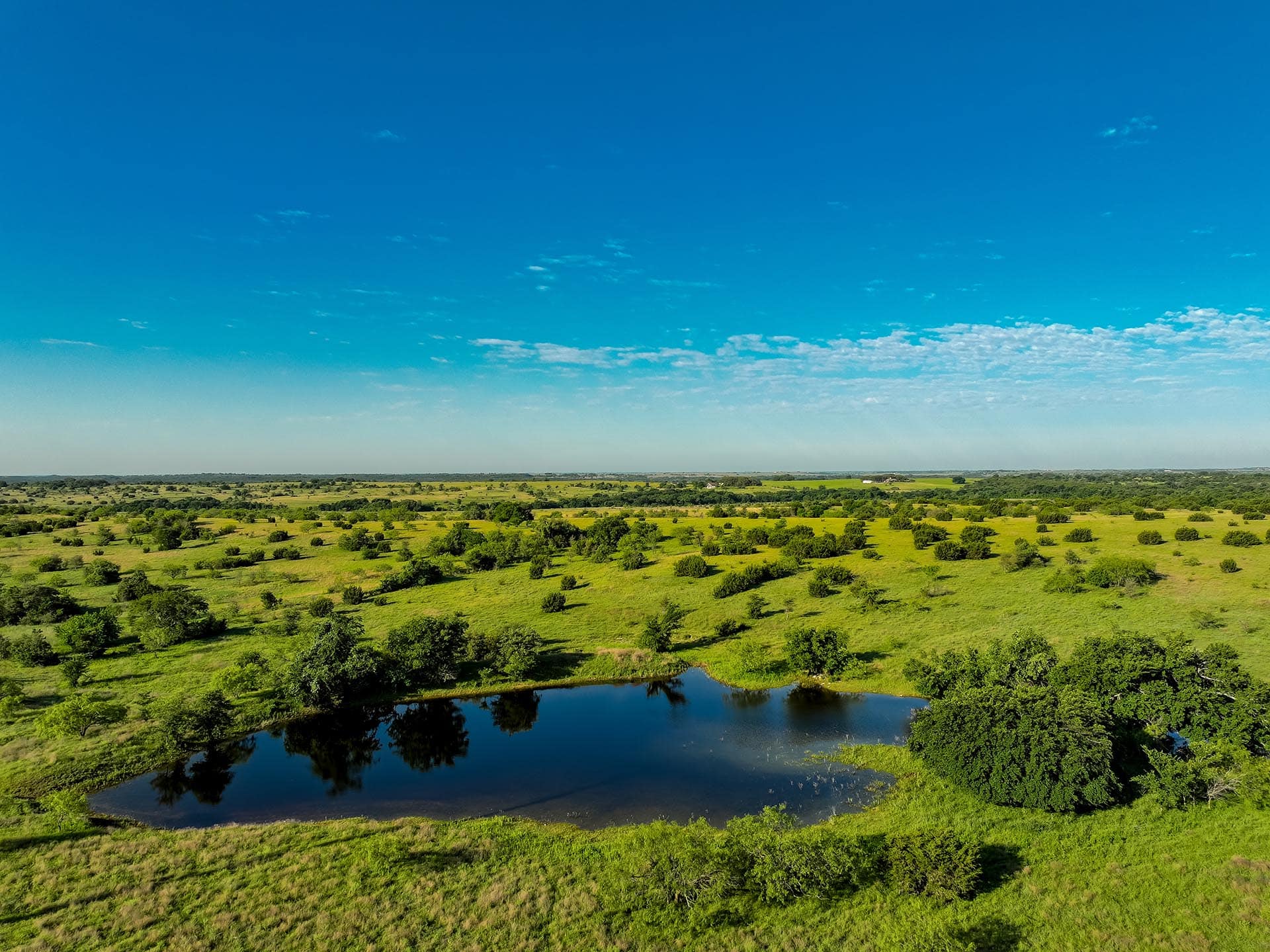 Rural Texas land investment opportunity Cotton Willow Ranch