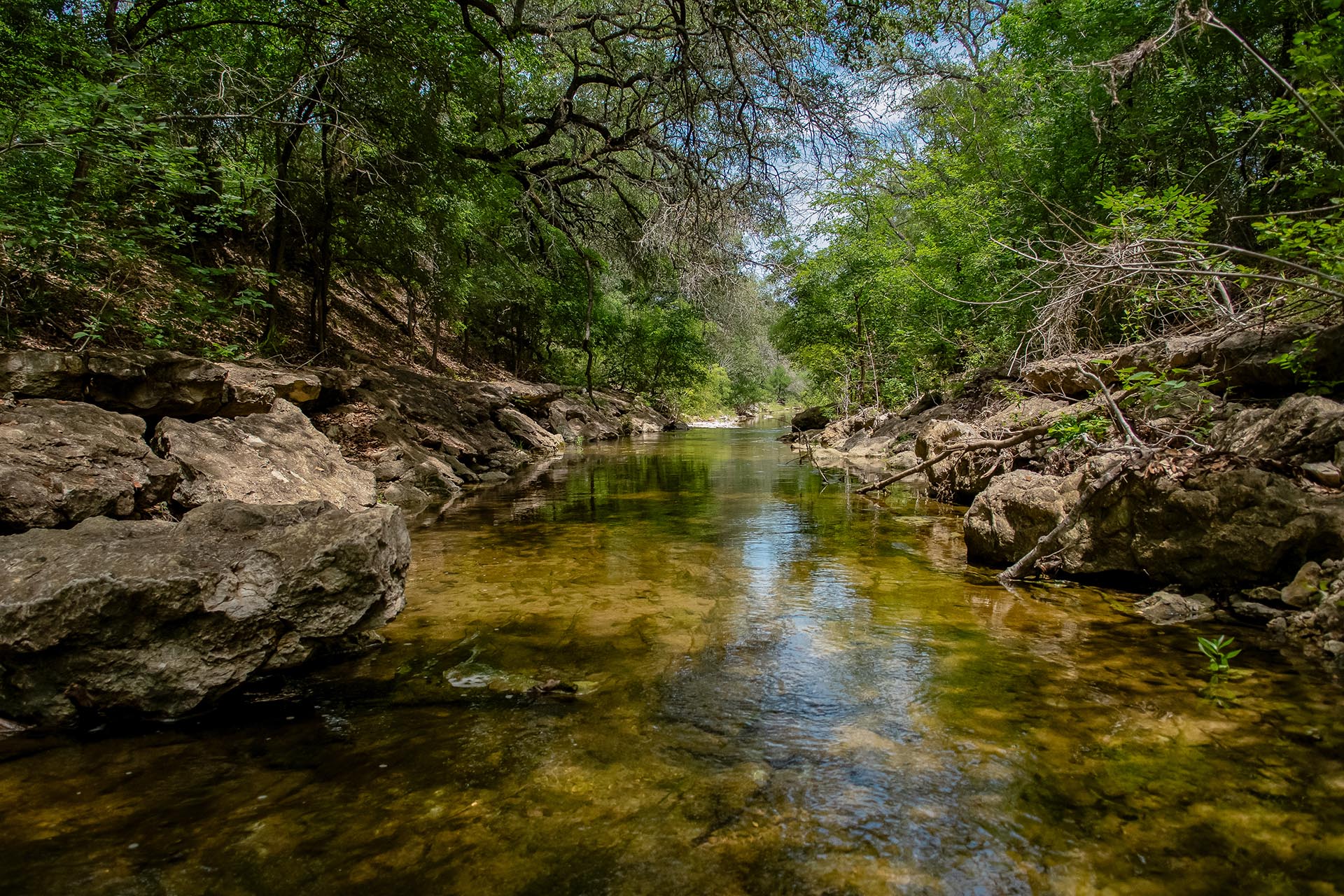 Scenic Texas ranch property Cotton Willow Ranch