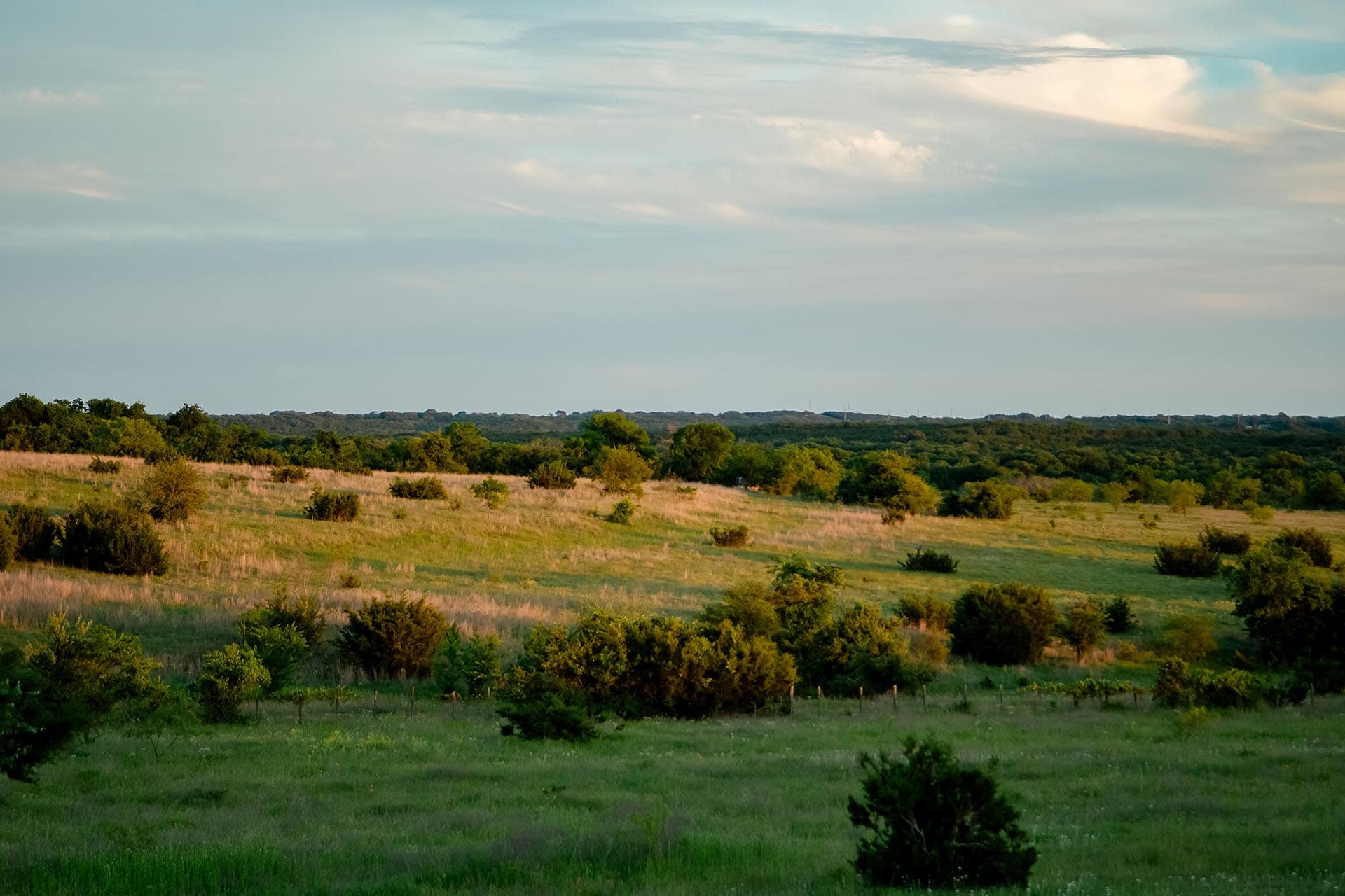 Secluded ranch property for sale in Texas Cotton Willow Ranch