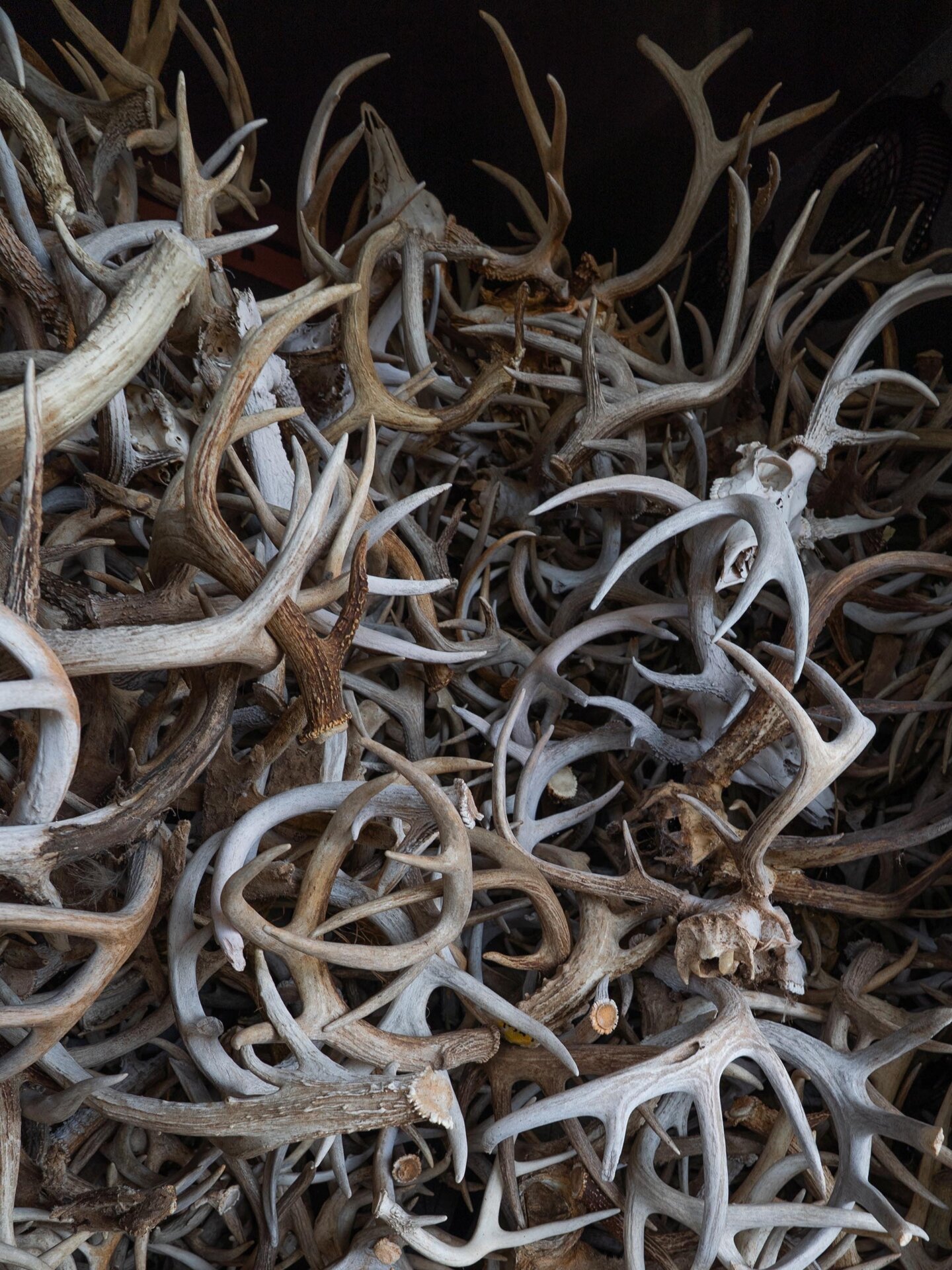 South Texas ranch with interior road system Texas El Monte Gringo Ranch