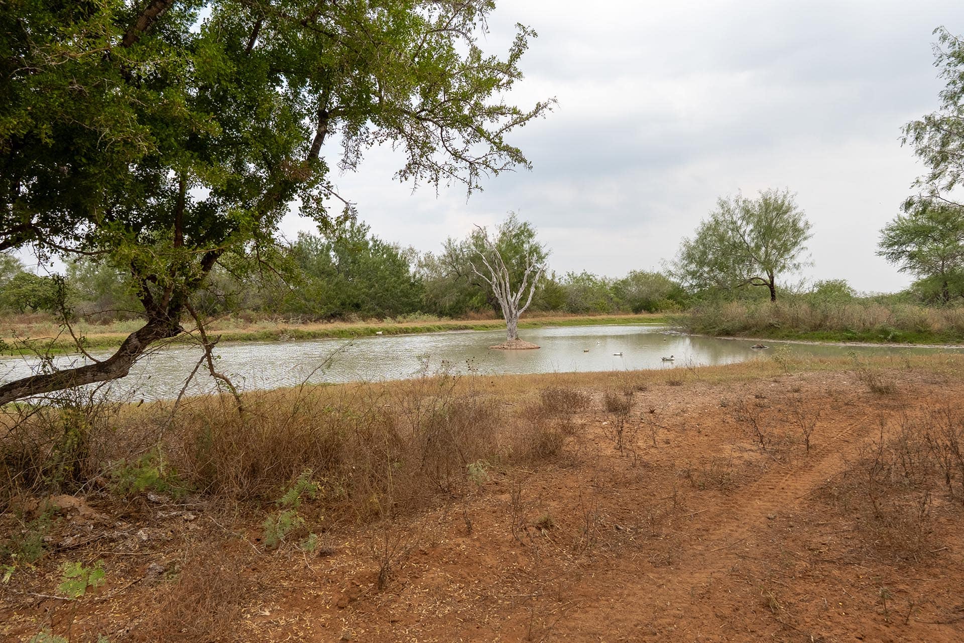 South Texas ranch with native wildlife Texas El Monte Gringo Ranch