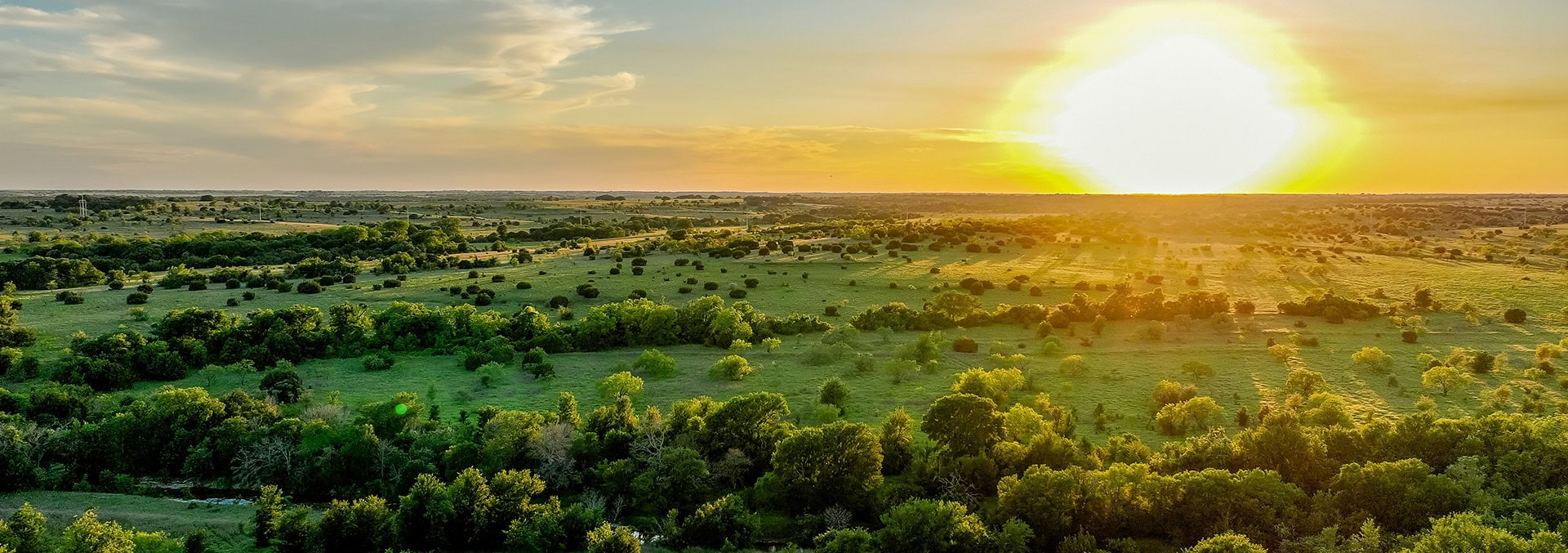 Texas cattle ranches for sale Cotton Willow Ranch