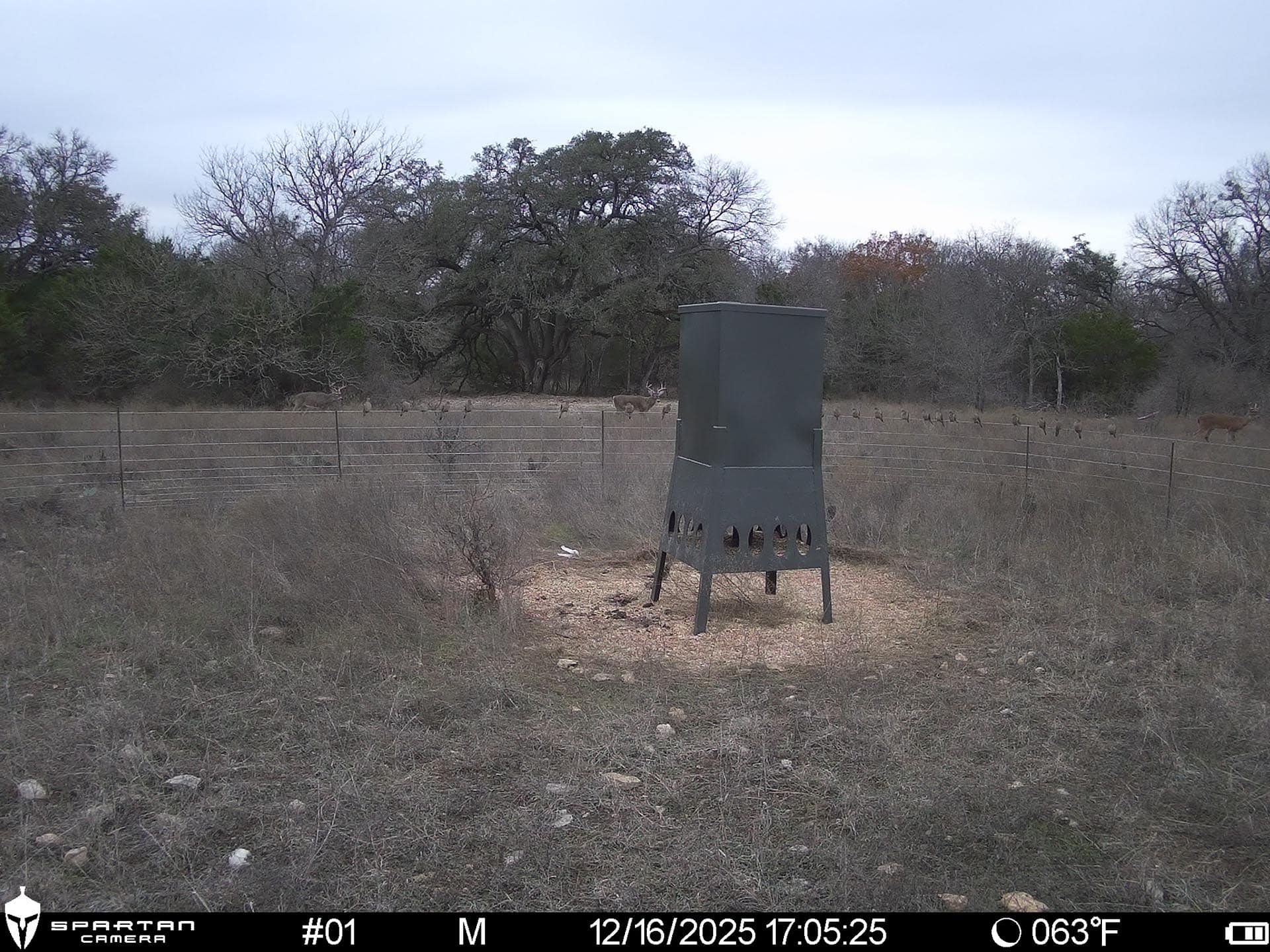 texas countryside ranch property cotton willow ranch