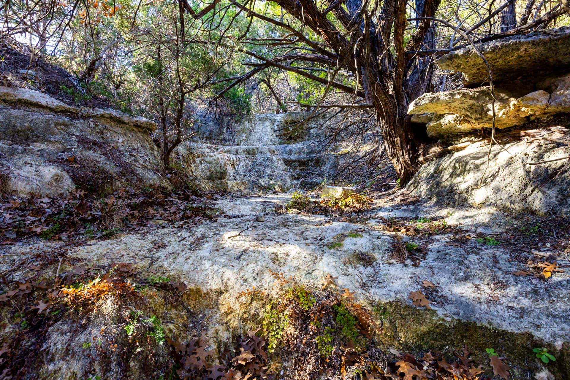 Texas investment ranch property Lone Woman Mountain Ranch