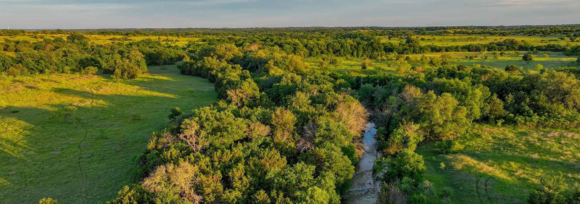 Texas land for sale Cotton Willow Ranch