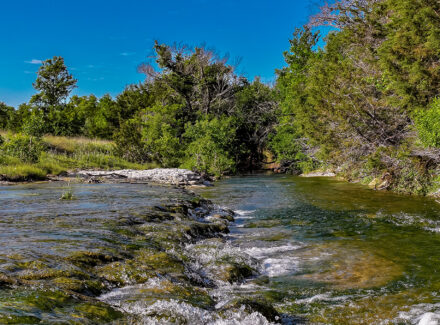 Texas property for sale Cotton Willow Ranch