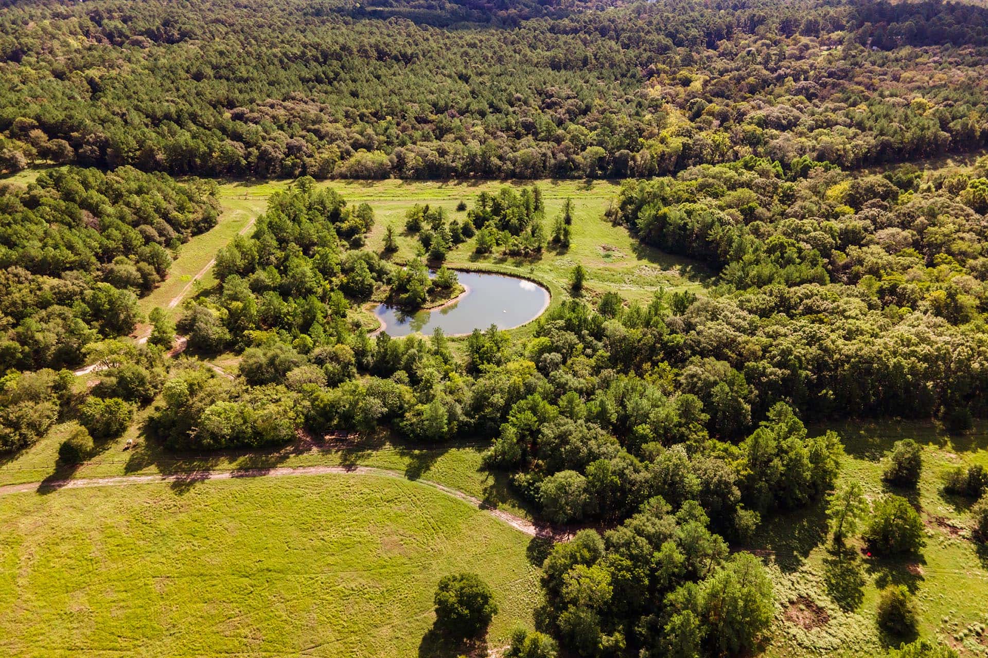 Texas ranch featuring wildlife management opportunities Whitehall Ranch