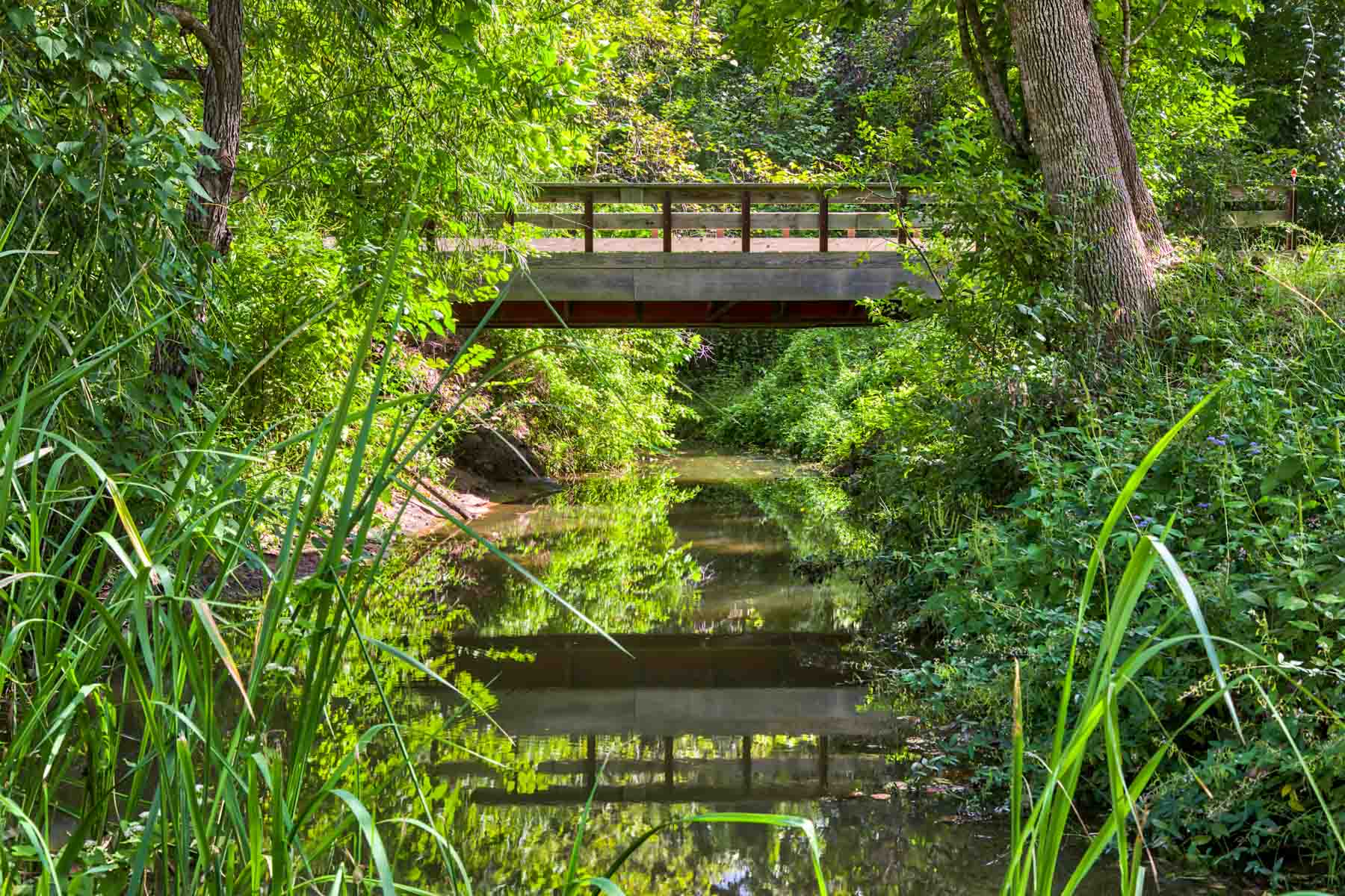 Texas ranch for sale with water wells and tanks Whitehall Ranch