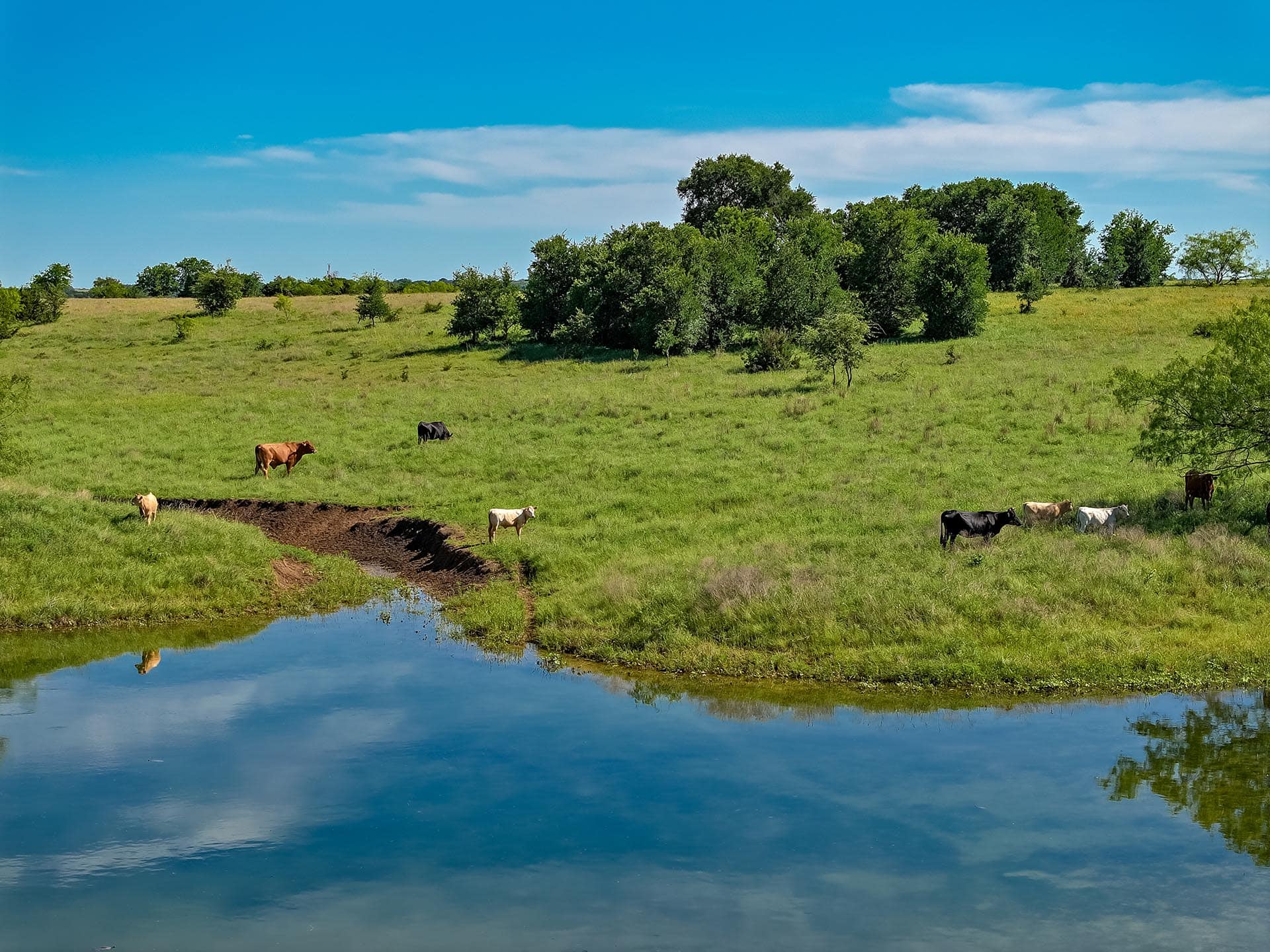 Texas ranch land listing with recreational potential Cotton Willow Ranch