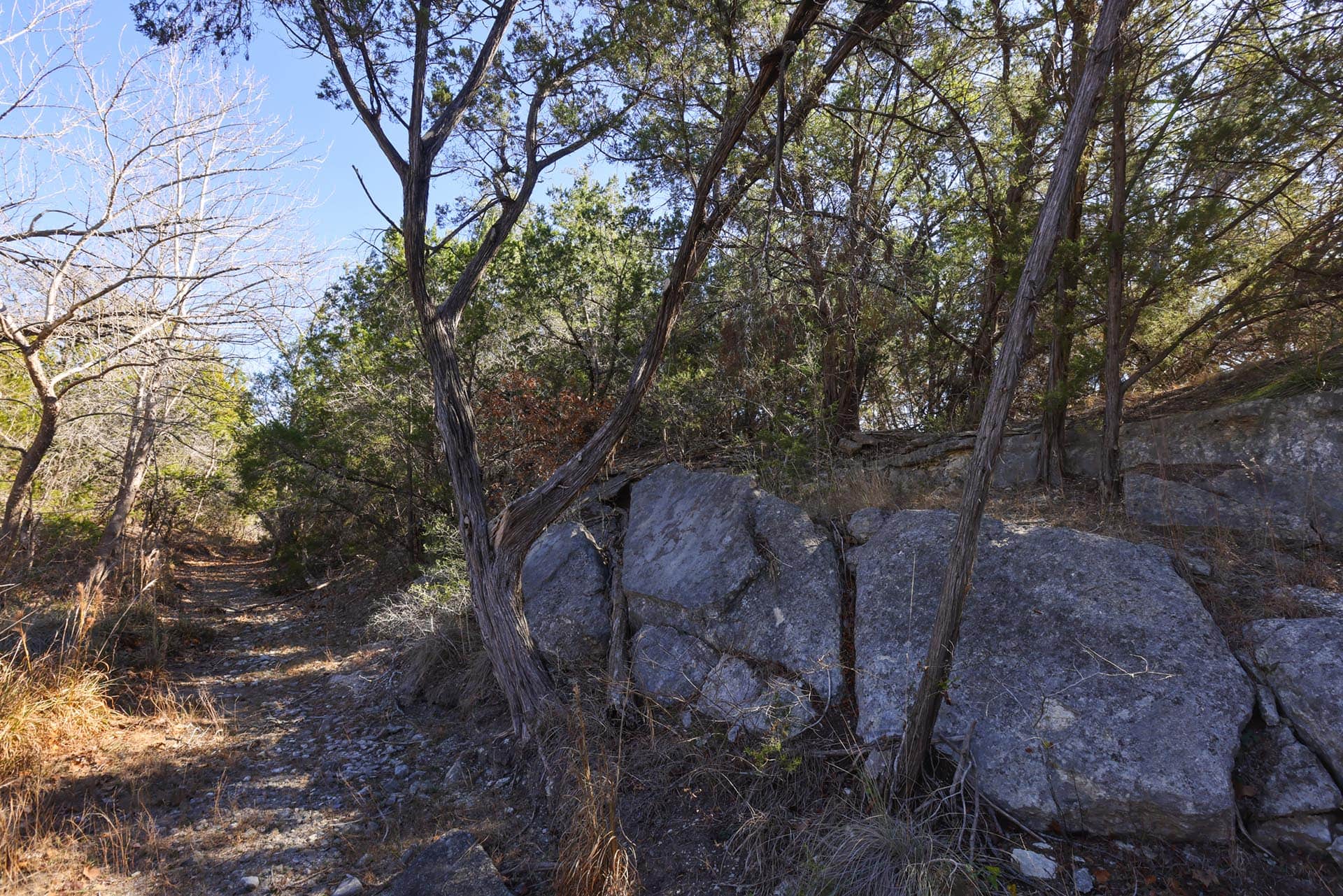 Texas ranch land with multiple building sites Lone Woman Mountain Ranch