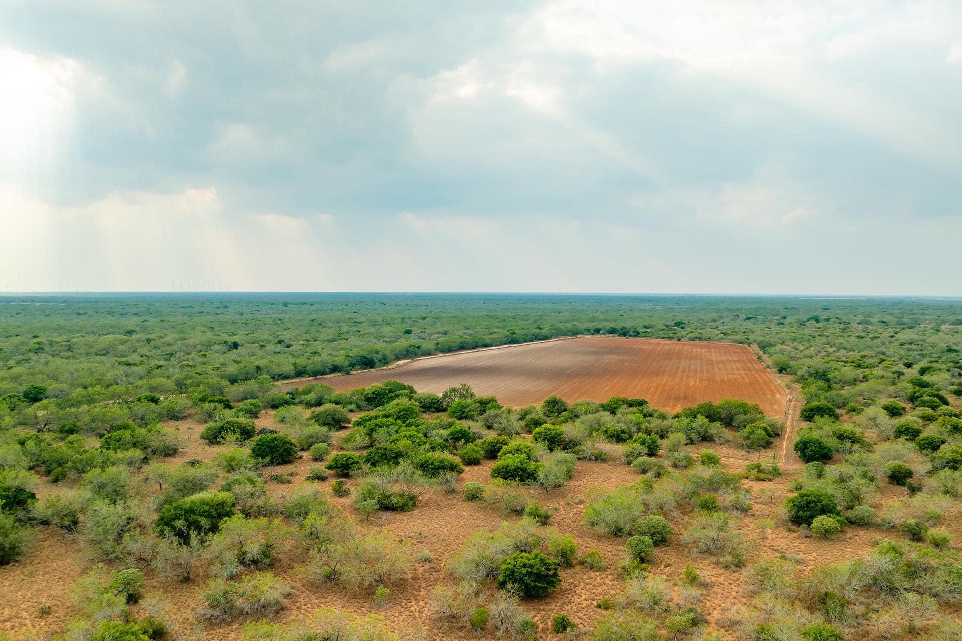 Texas ranch offering turnkey hunting El Monte Gringo Ranch