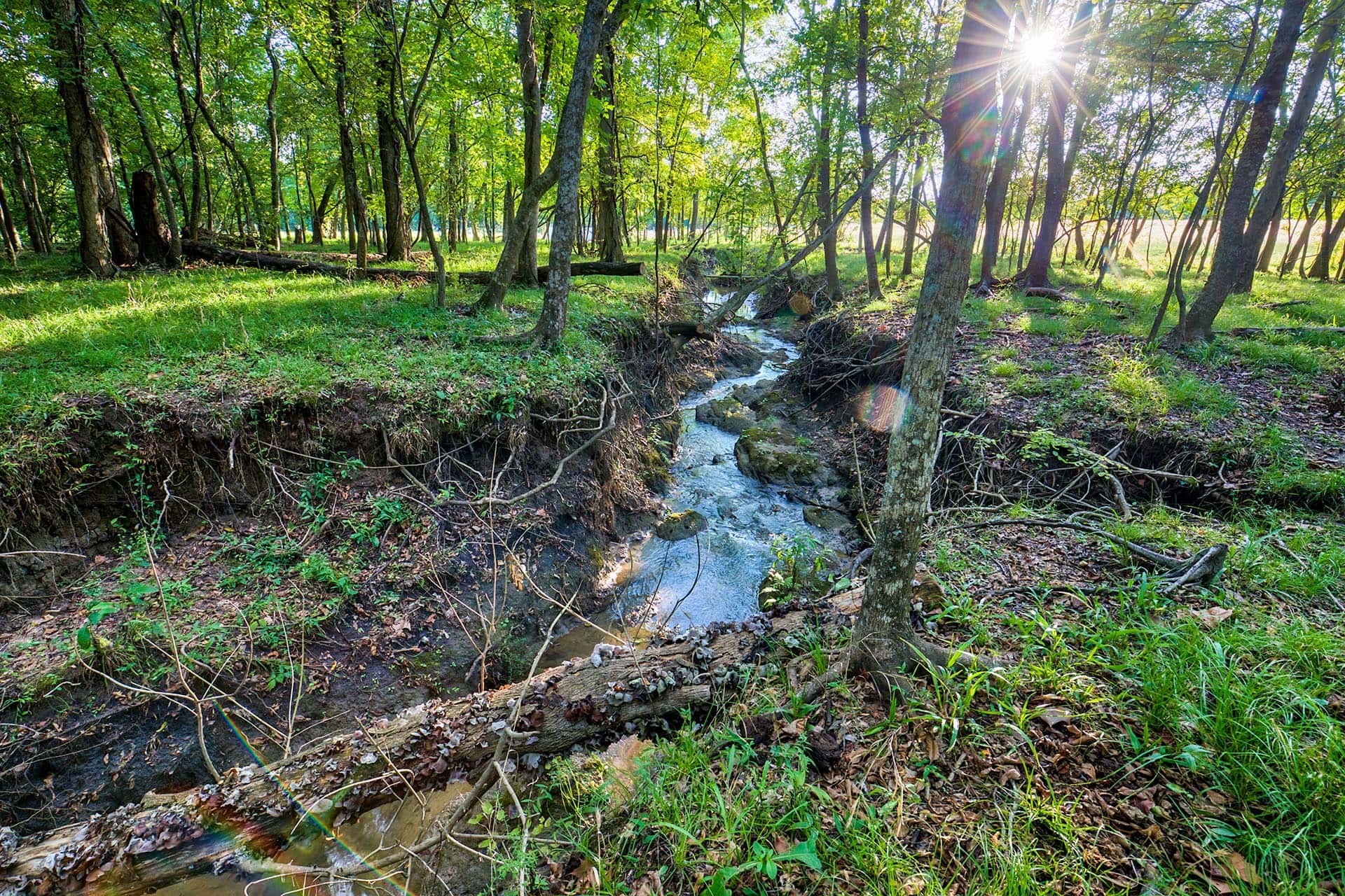 Texas ranch property ideal for legacy ownership Whitehall Ranch