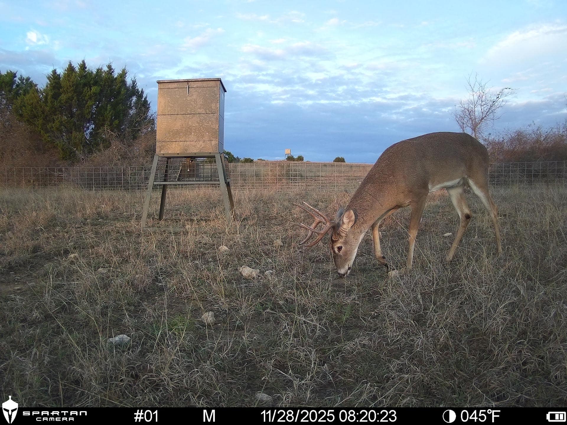 texas ranch property ideal for long term inve3stment cotton willow ranch