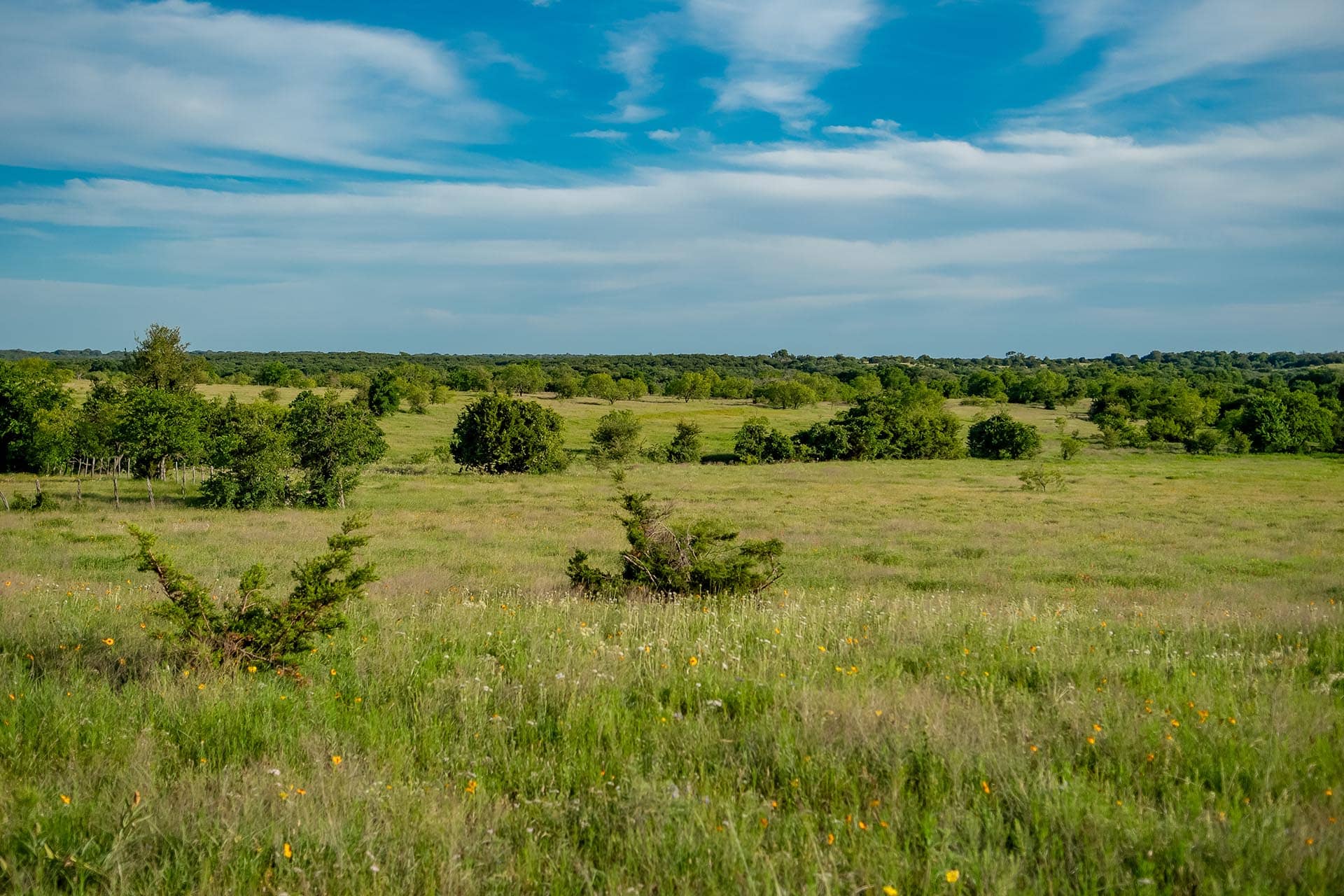 Texas ranch property near the Blackland Prairie Cotton Willow Ranch
