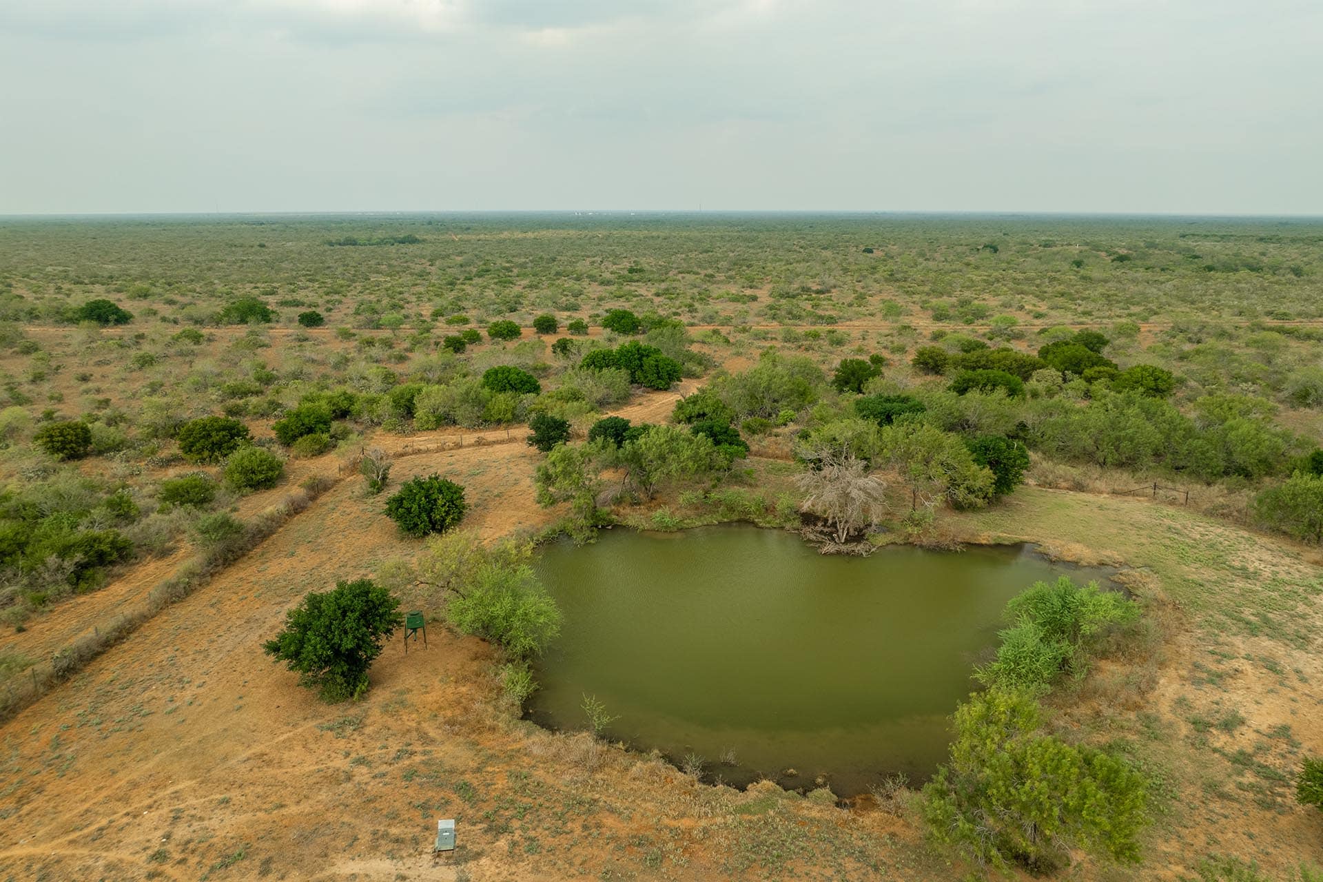 Texas ranch property with dense brush El Monte Gringo Ranch