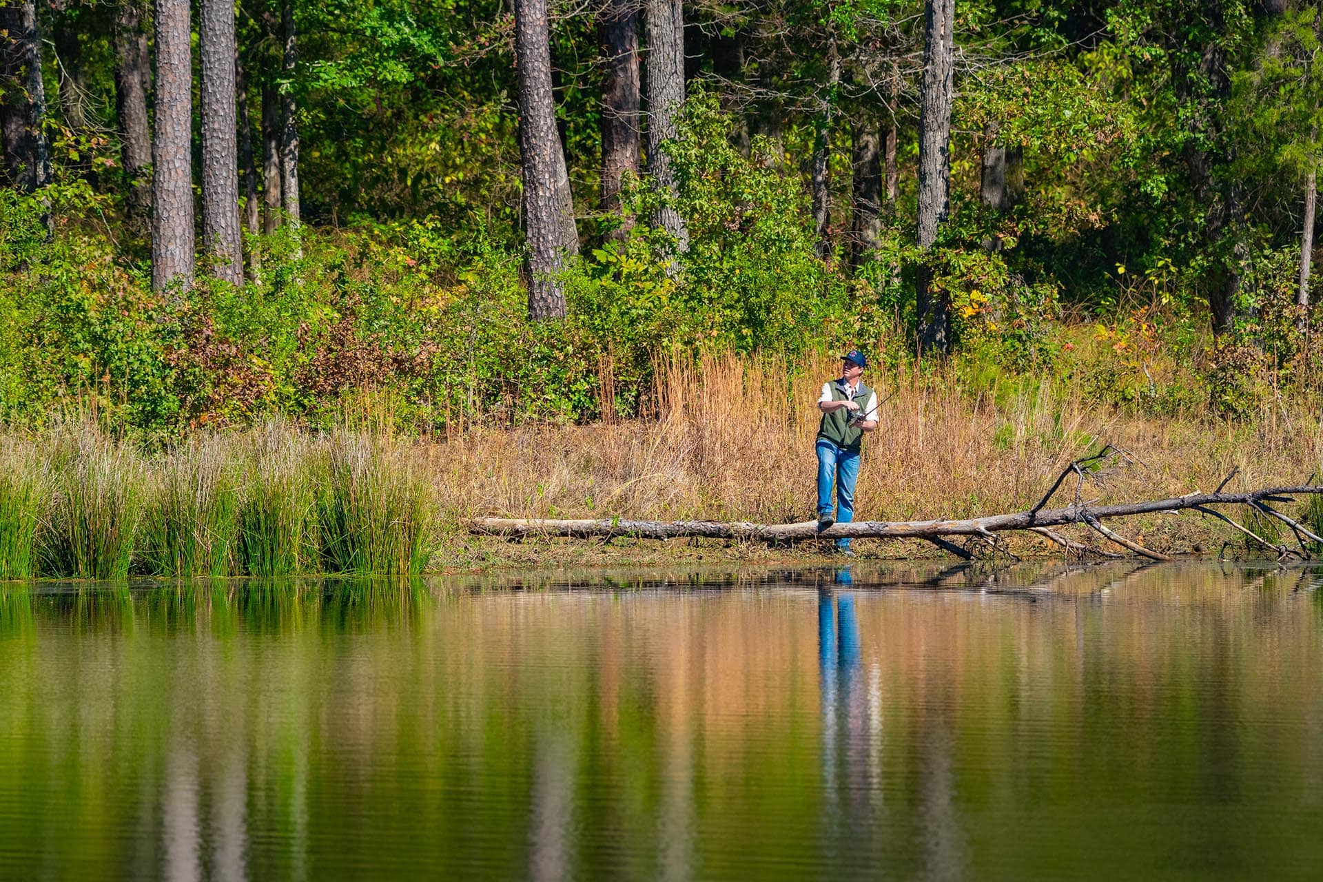 Texas ranch property with lake shoreline Red Barn Ranch on Lake Bob Sandlin