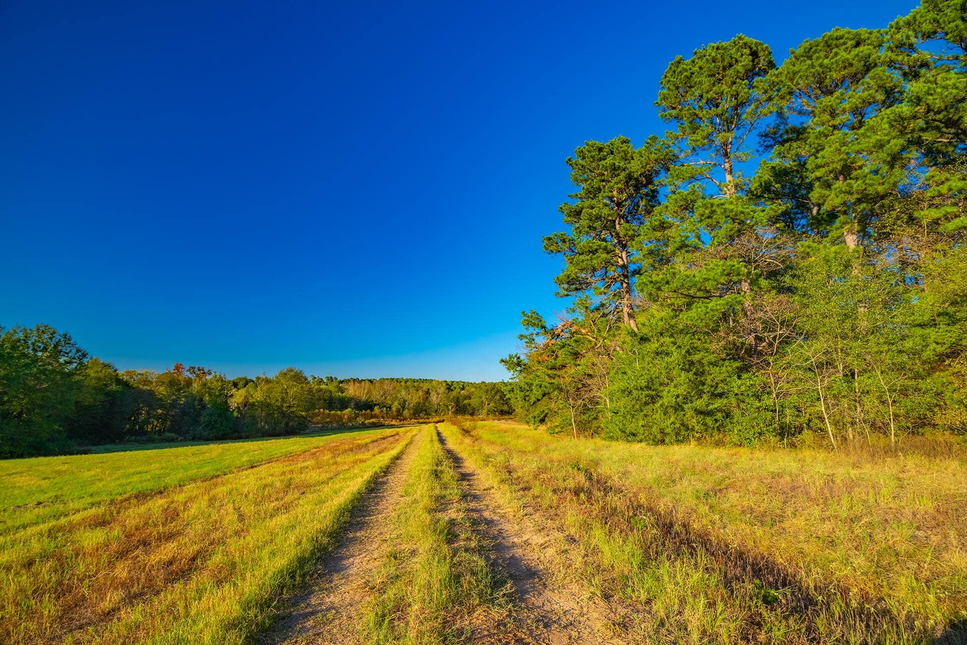 Texas ranch suitable for boating and fishing Red Barn Ranch on Lake Bob Sandlin