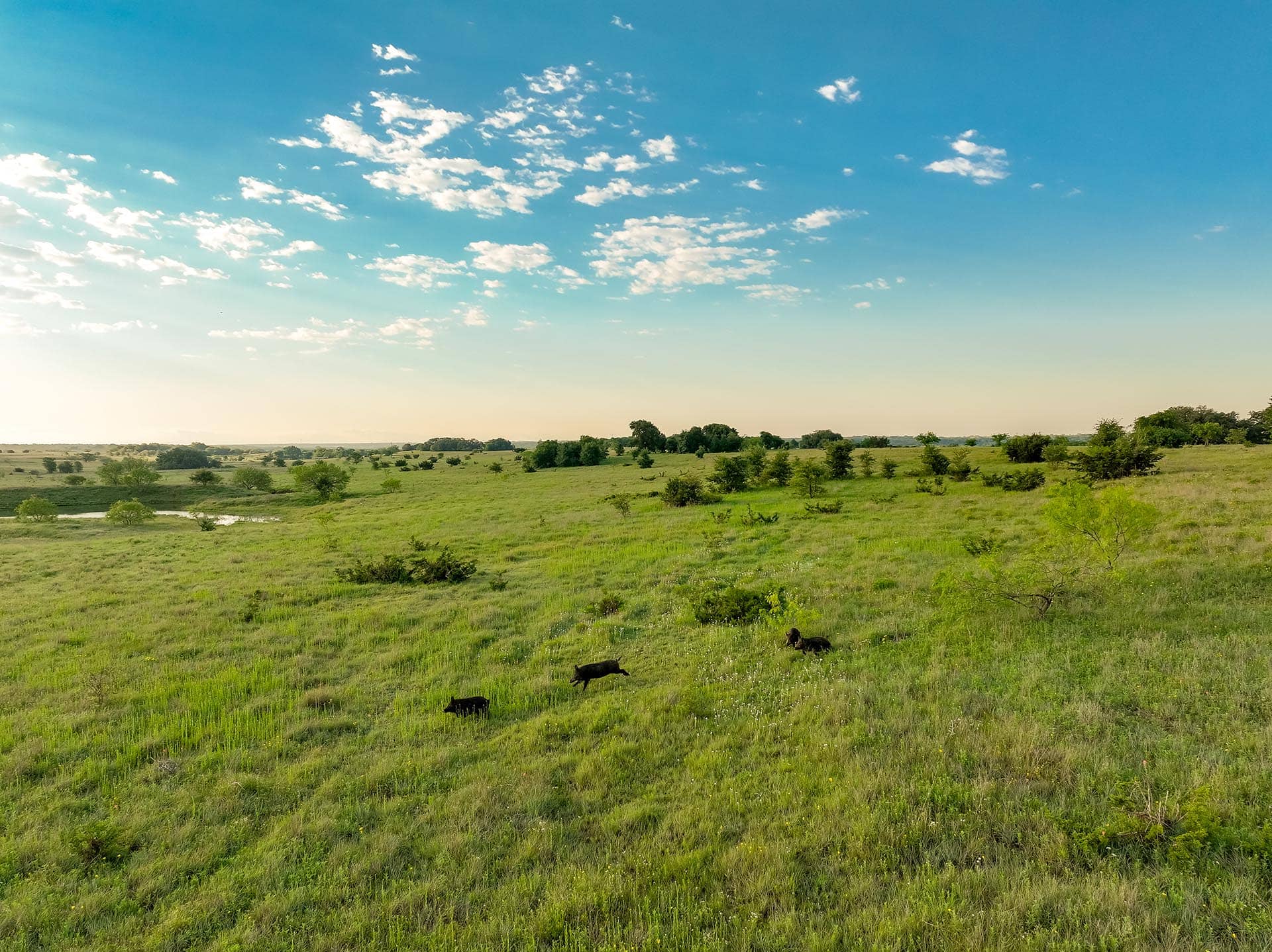 Texas ranch suitable for weekend retreats Cotton Willow Ranch