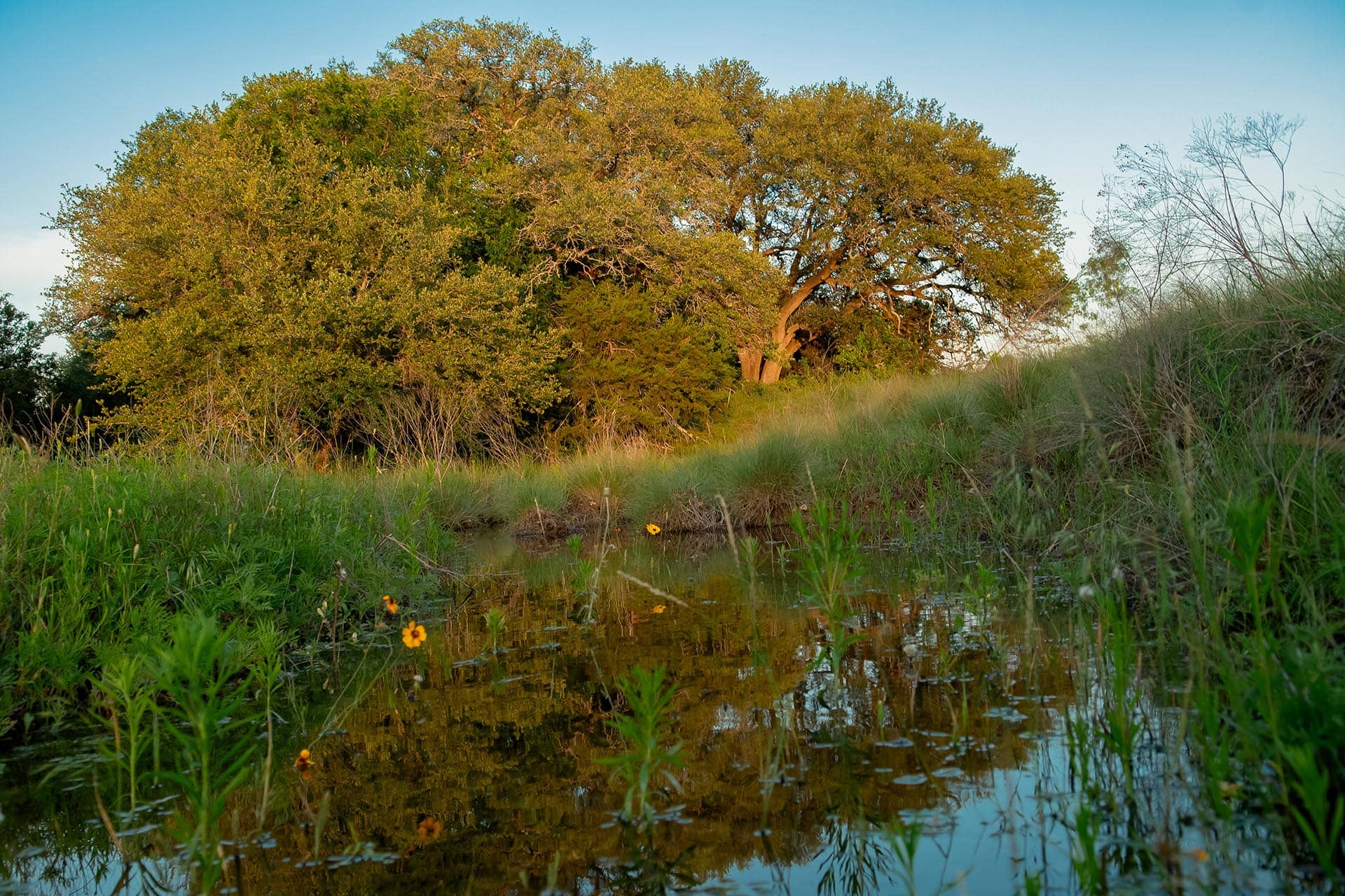 Texas ranch with development potential Cotton Willow Ranch