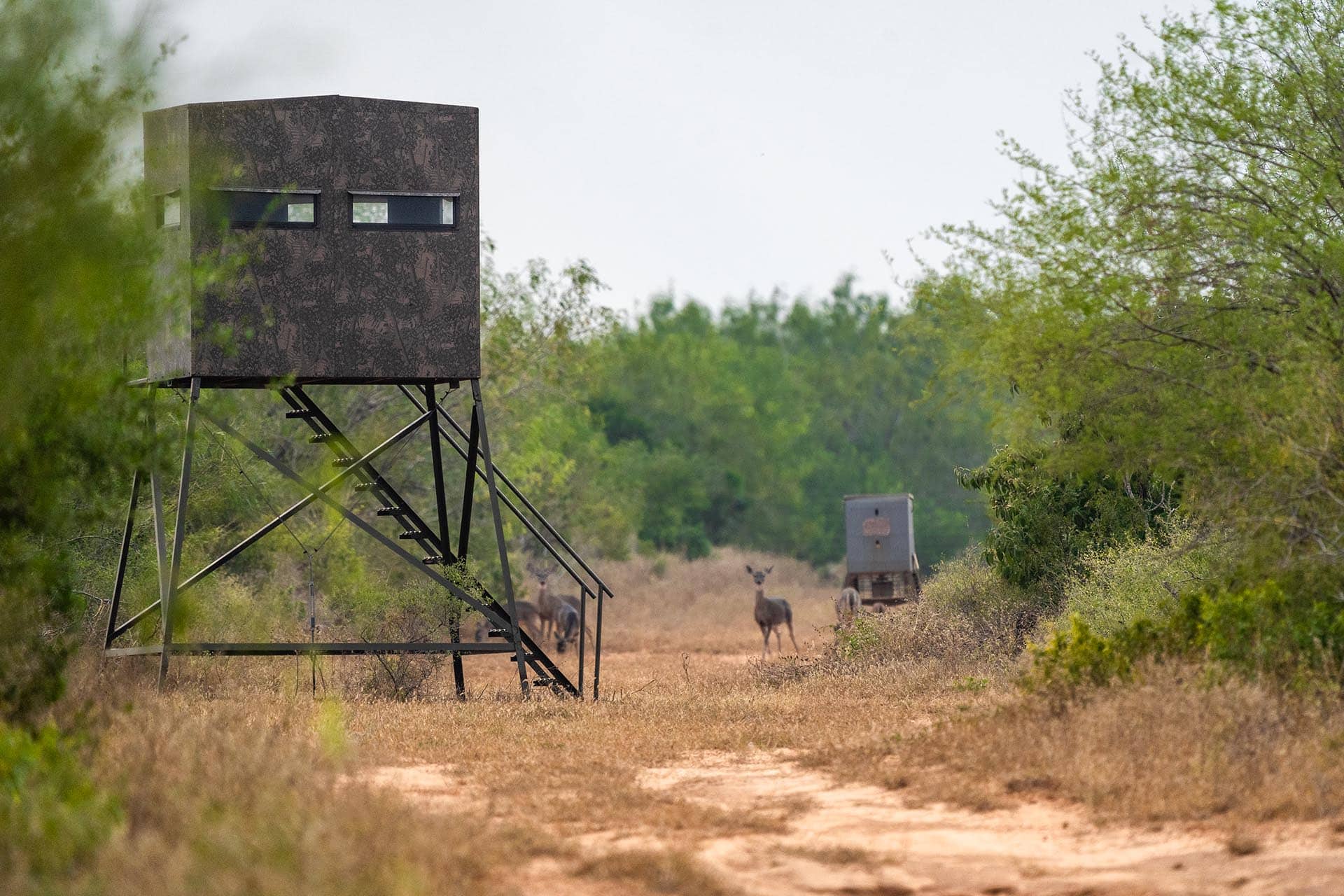 Texas ranch with whitetail and exotics El Monte Gringo Ranch