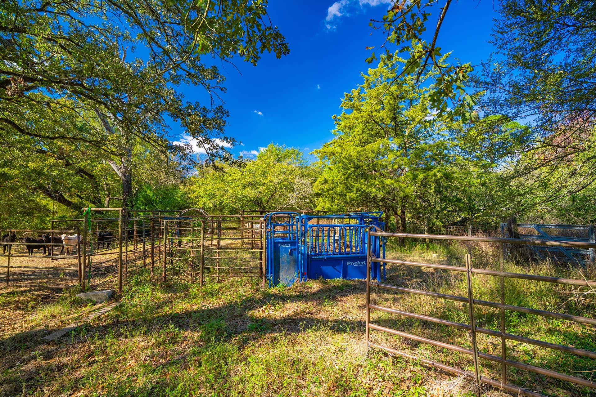 Texas recreational ranch near Winnsboro Red Barn Ranch on Lake Bob Sandlin