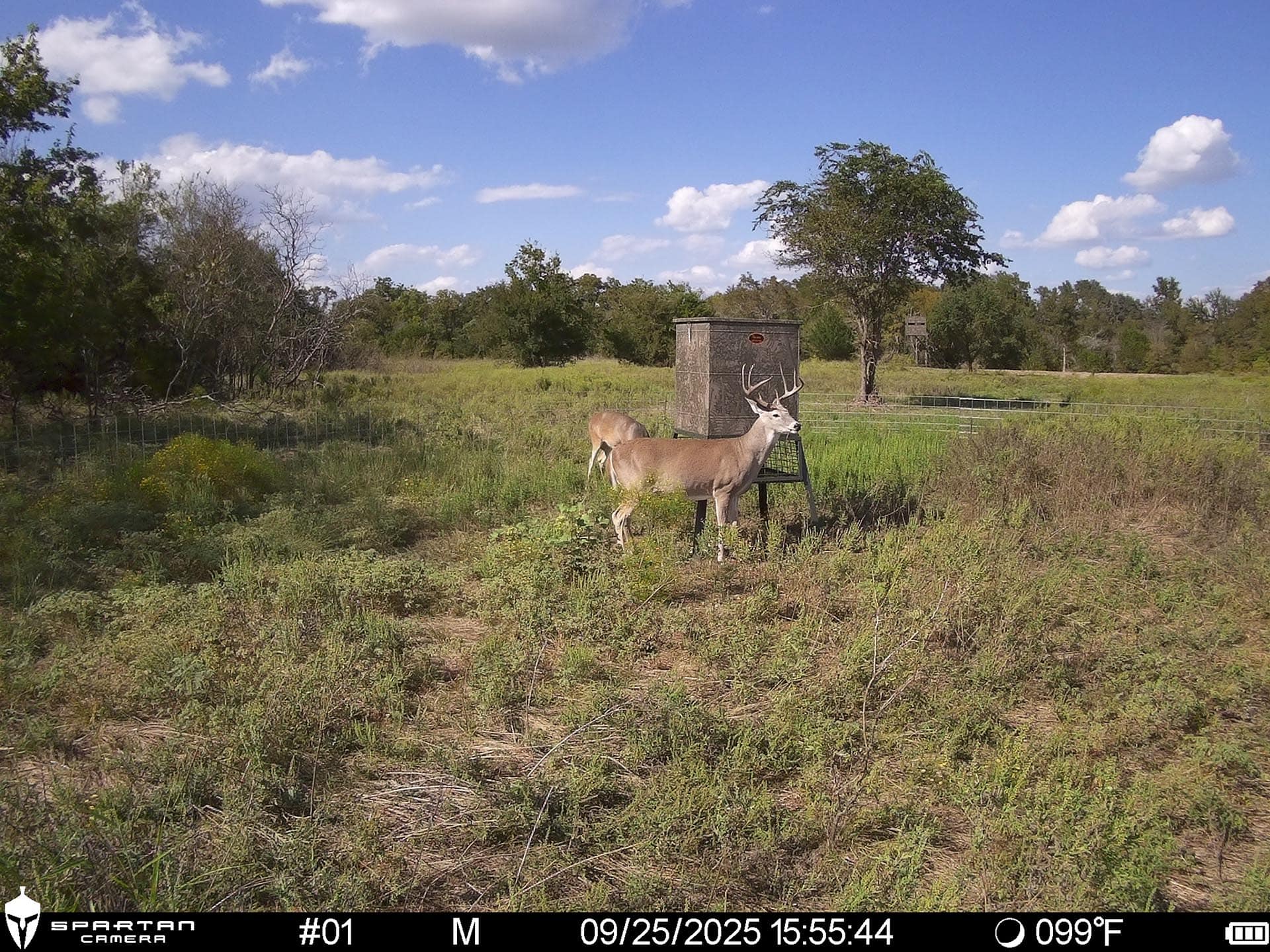 turn key ranch property texas cotton willow ranch