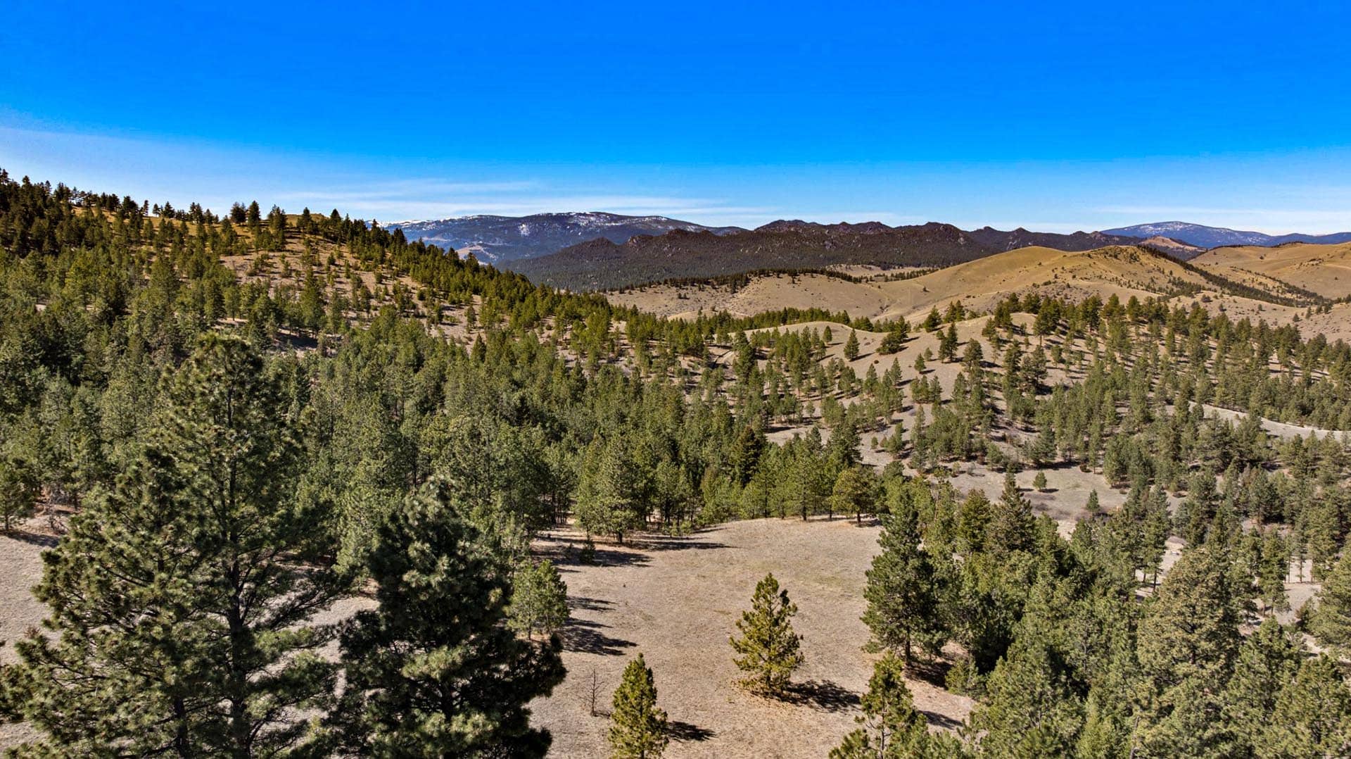 Turnkey Montana Homestead With All Appliances Elk Ridge Wilderness Retreat