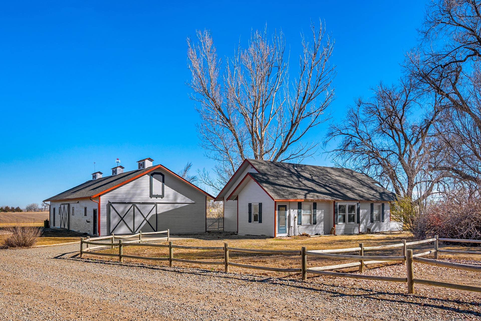 Upland Bird Hunting For Sale Nearby Colorado Stillroven Farm Pheasant & Kennel Club
