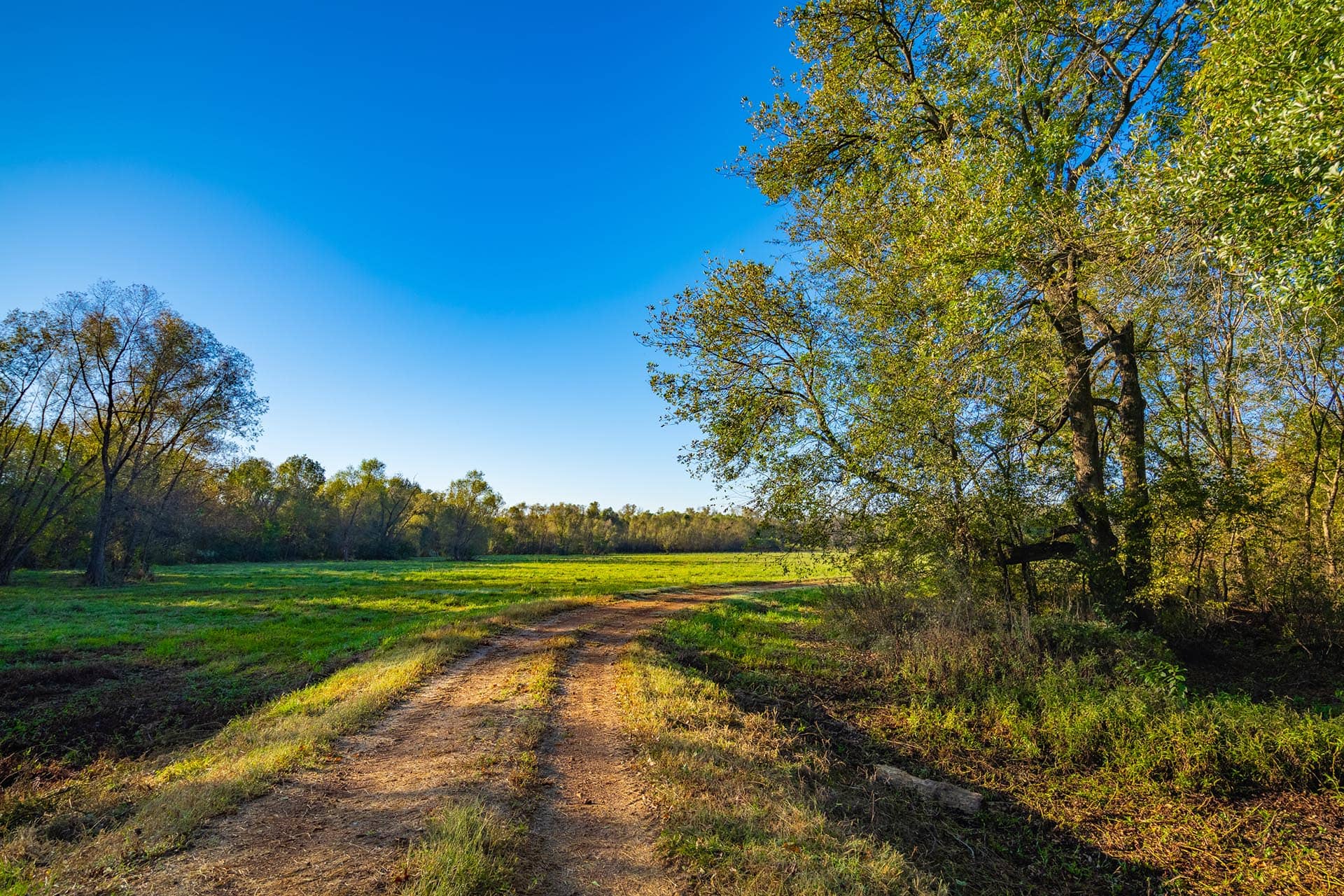 Waterfront recreational property Texas Red Barn Ranch on Lake Bob Sandlin