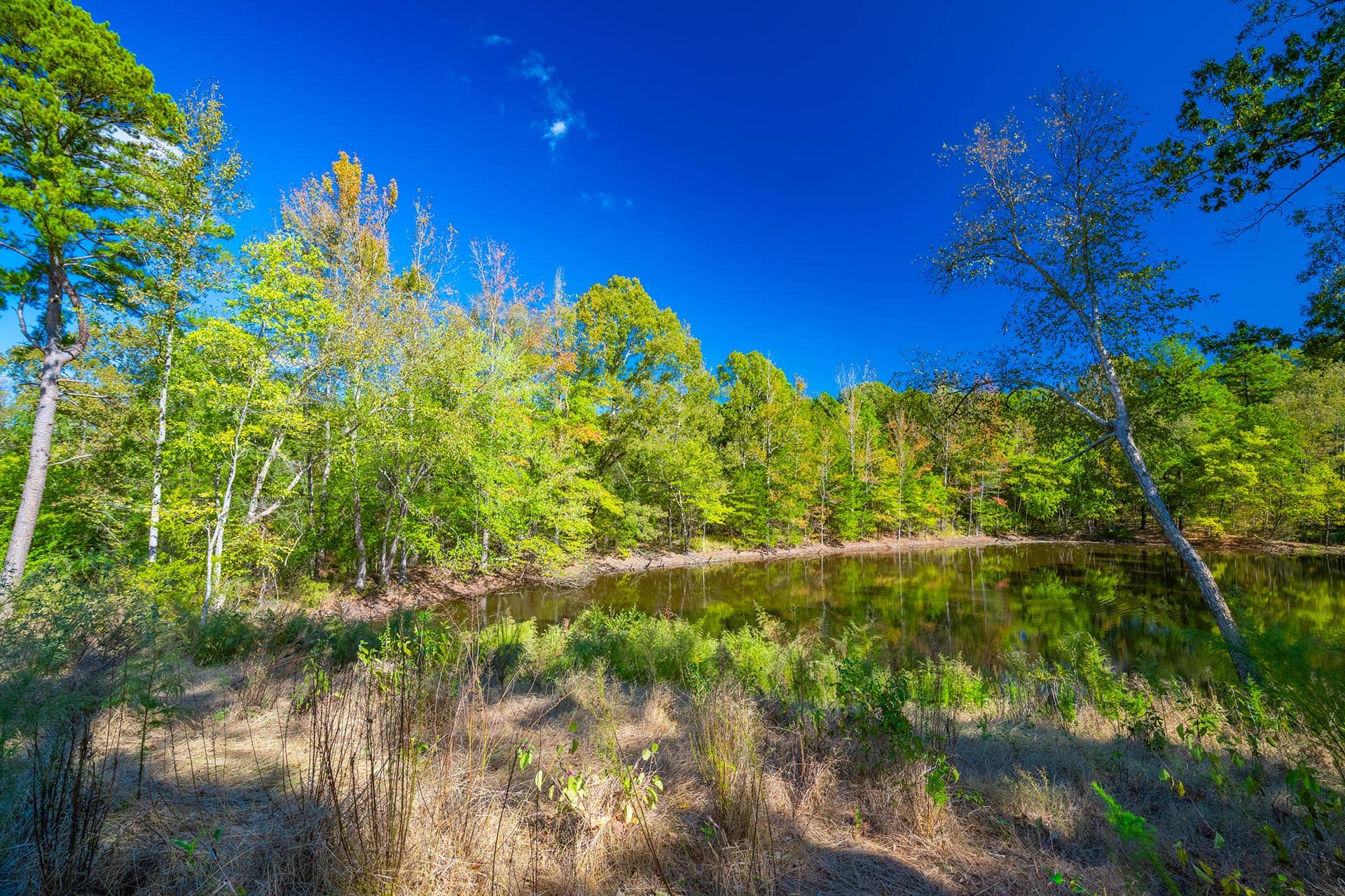 Winnsboro TX lake property with ranch access Red Barn Ranch on Lake Bob Sandlin