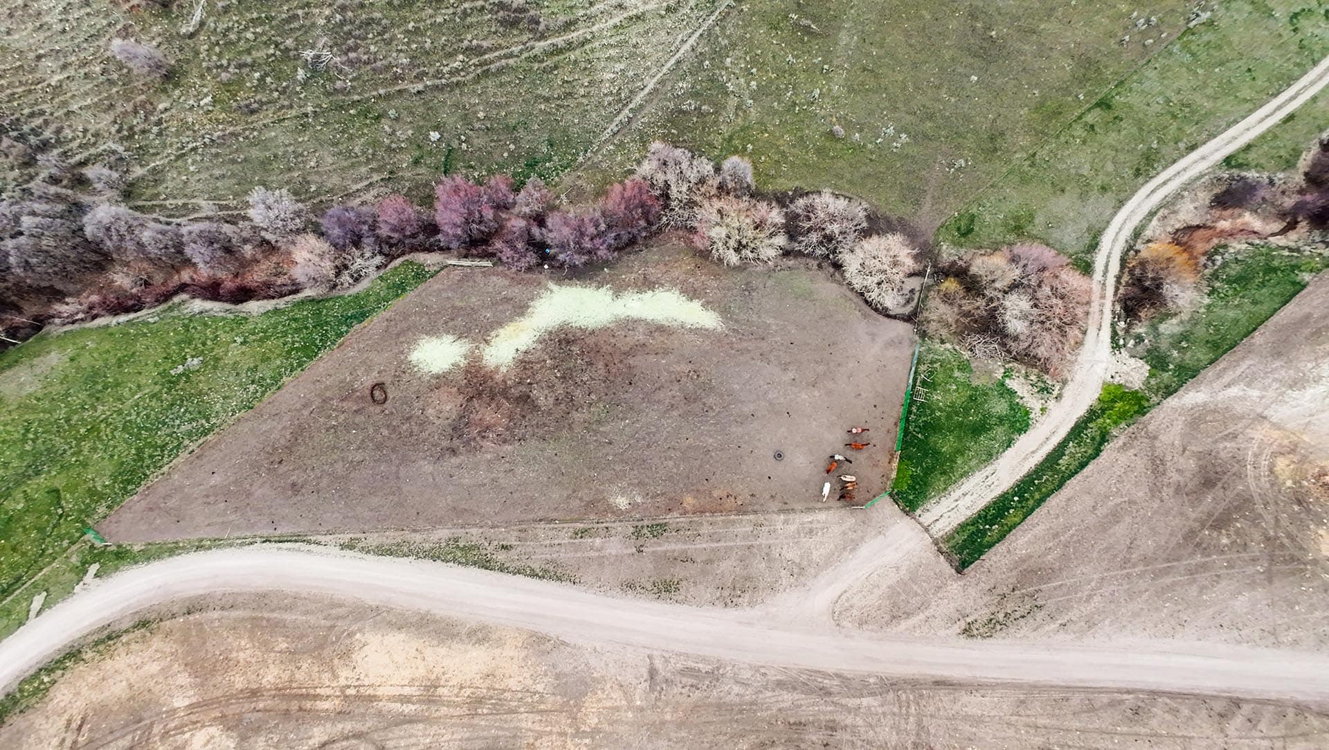 aerial view fenced idaho land with animals the davis lodge at loafer creek falls