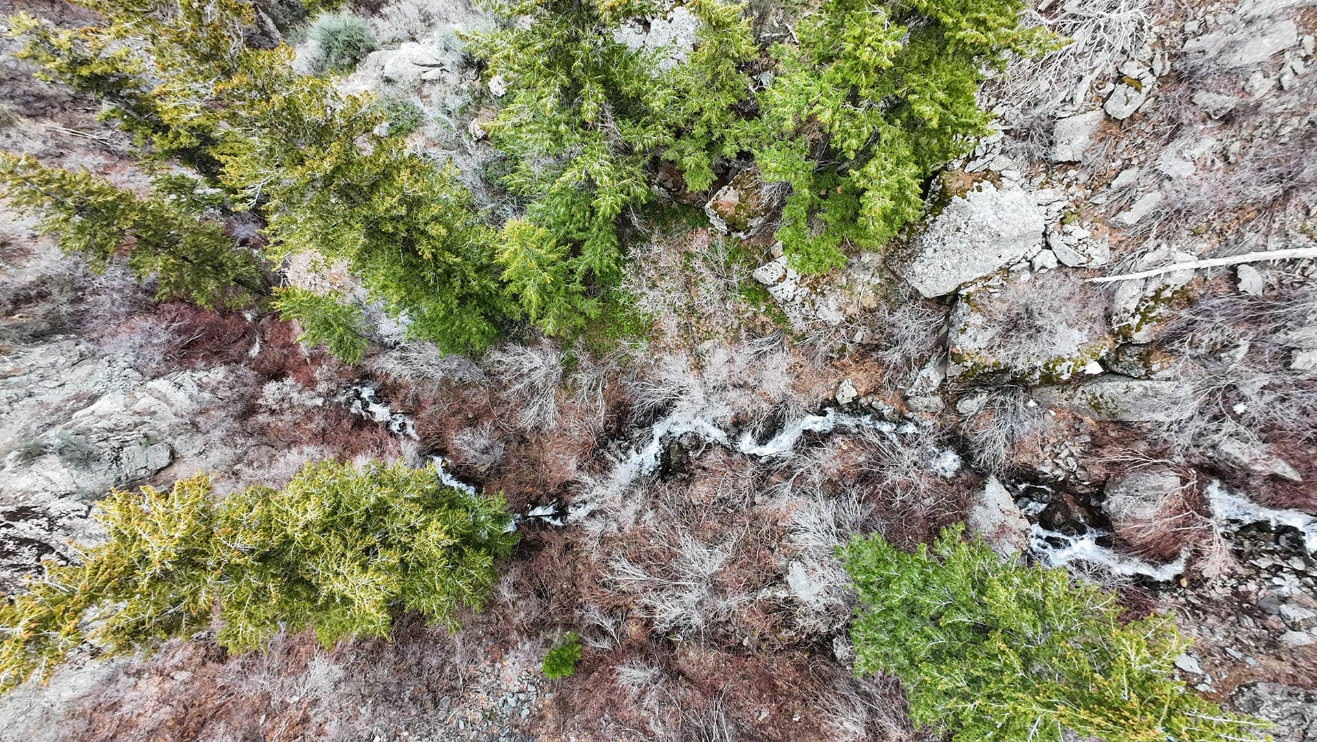 aerial view winding stream idaho the davis lodge at loafer creek falls