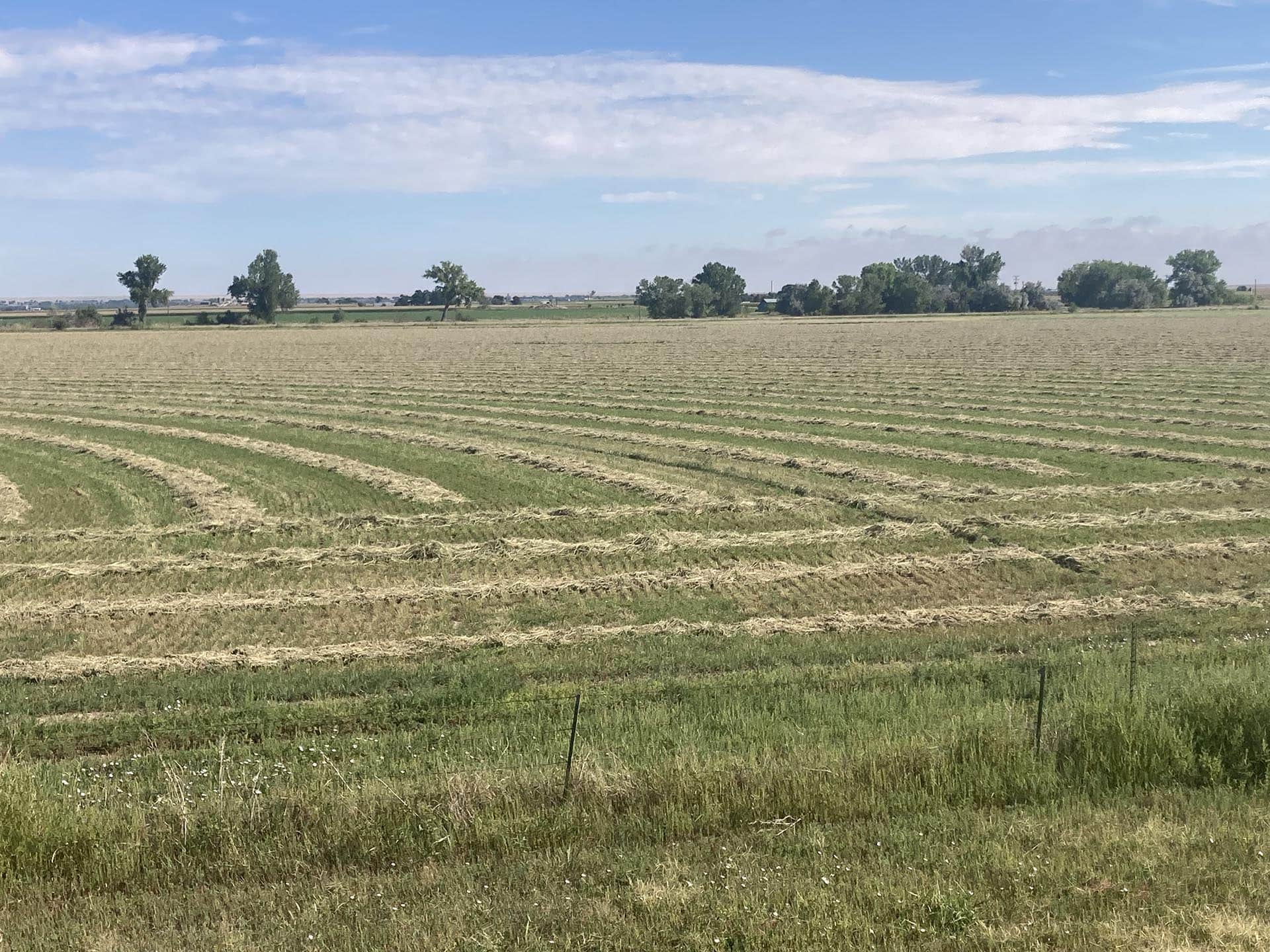 agricultural property for sale Colorado South Swink Farm Grow Yard