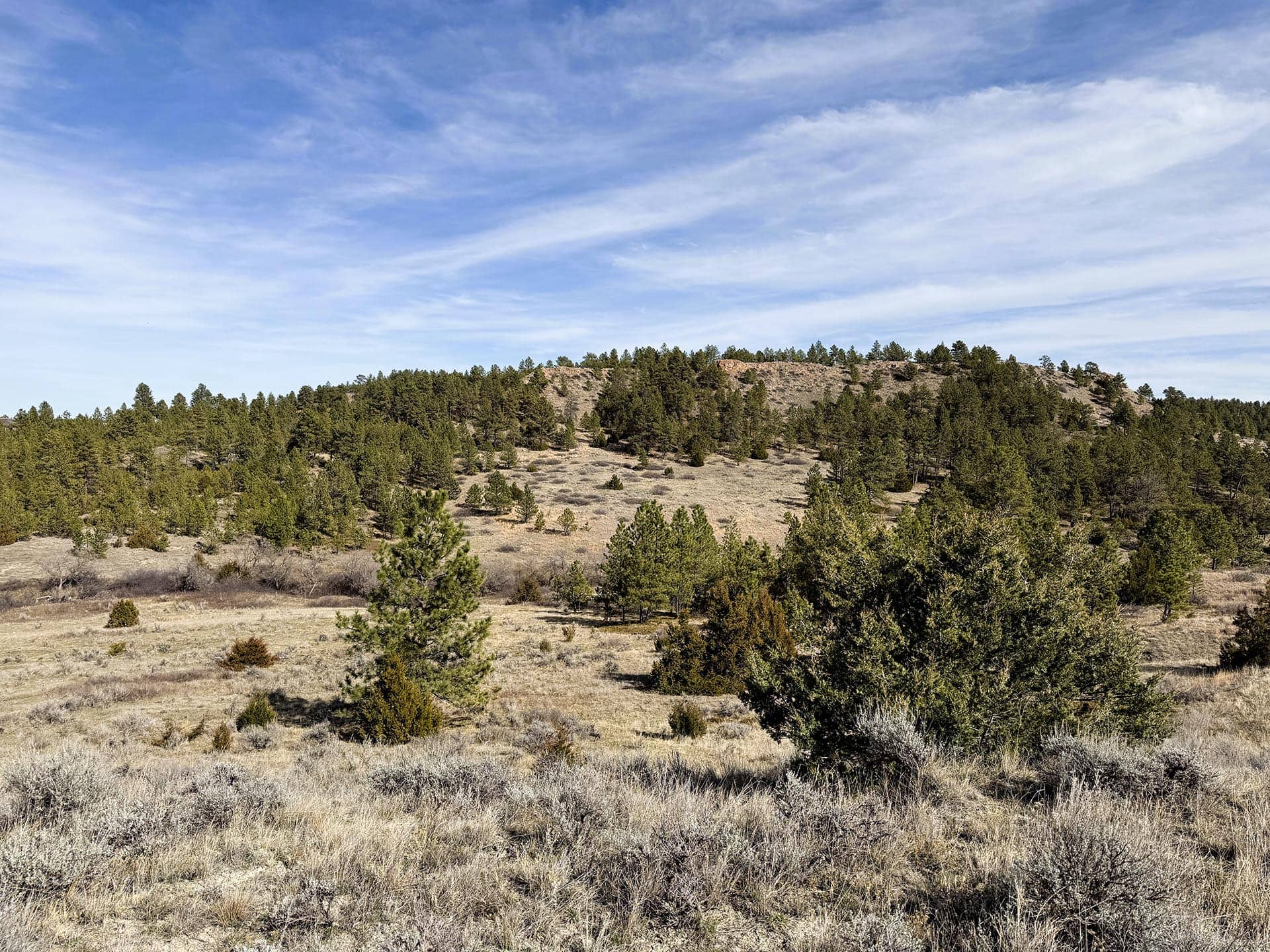 antelope hunting ranch montana legacy 551 ranch