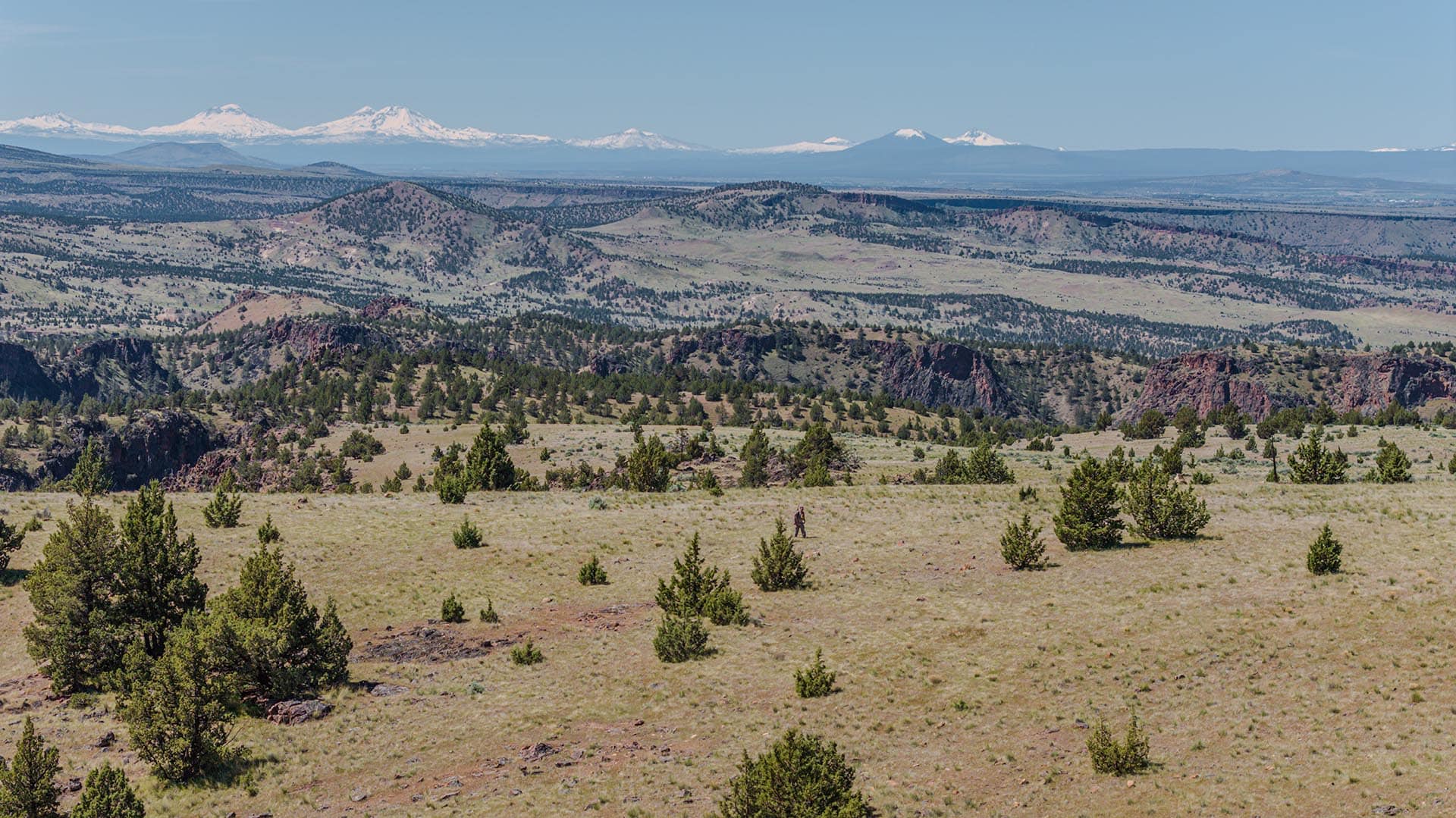 auodad sheep on property oregon little devils canyon