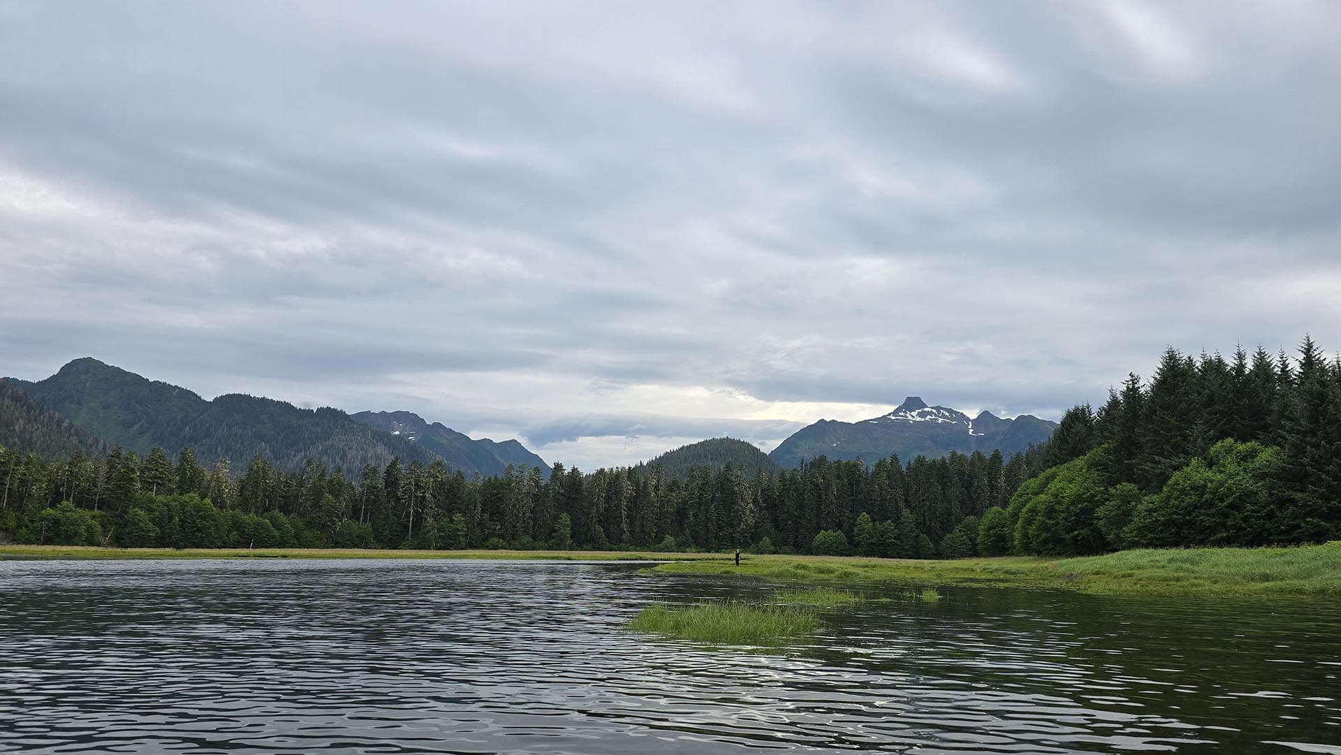 back cover alaska hasselborg homestead
