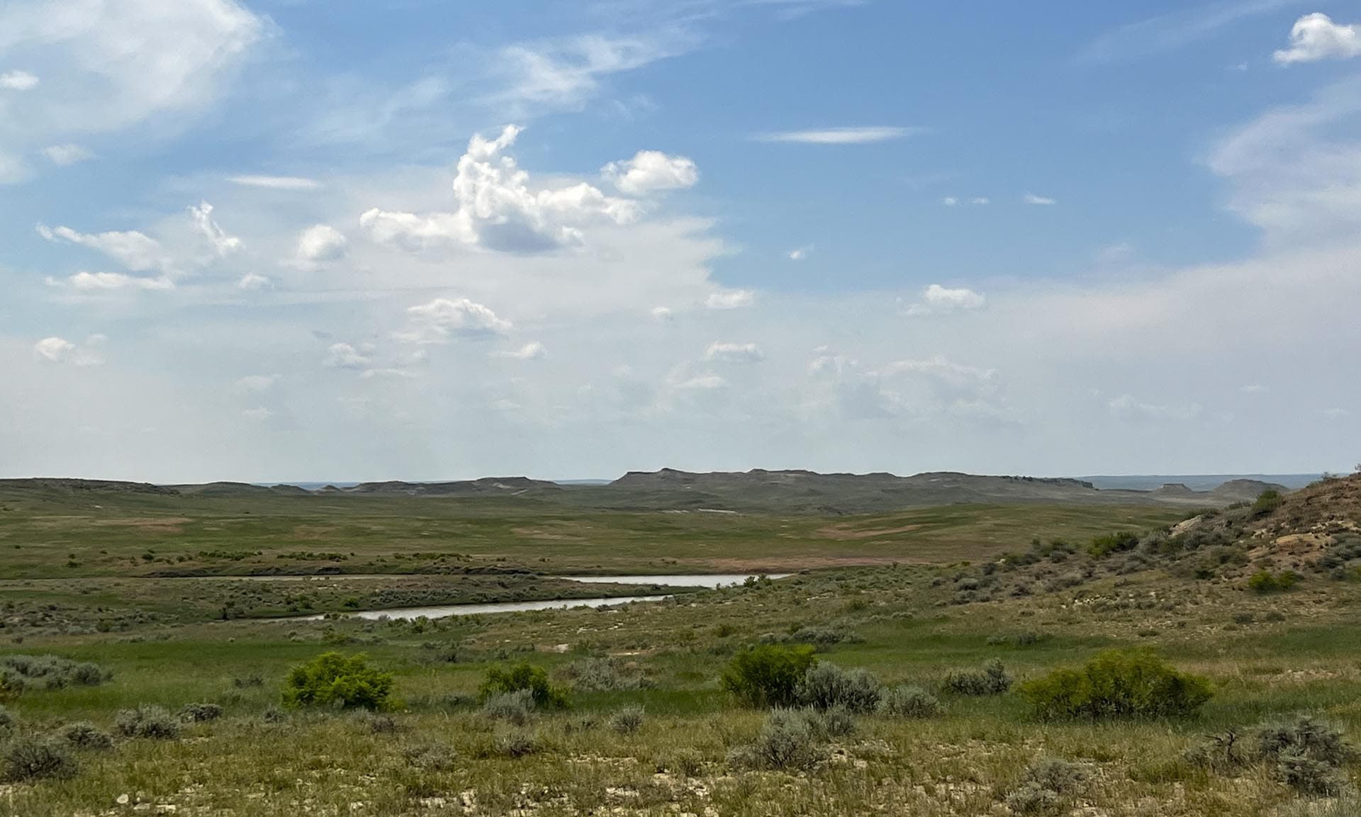 biodiversity montana over the cliff ranch on little porcupine creek