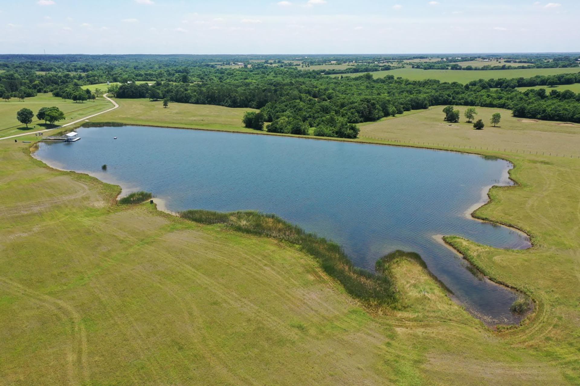 cattle and horse pasture texas whitehall ranch
