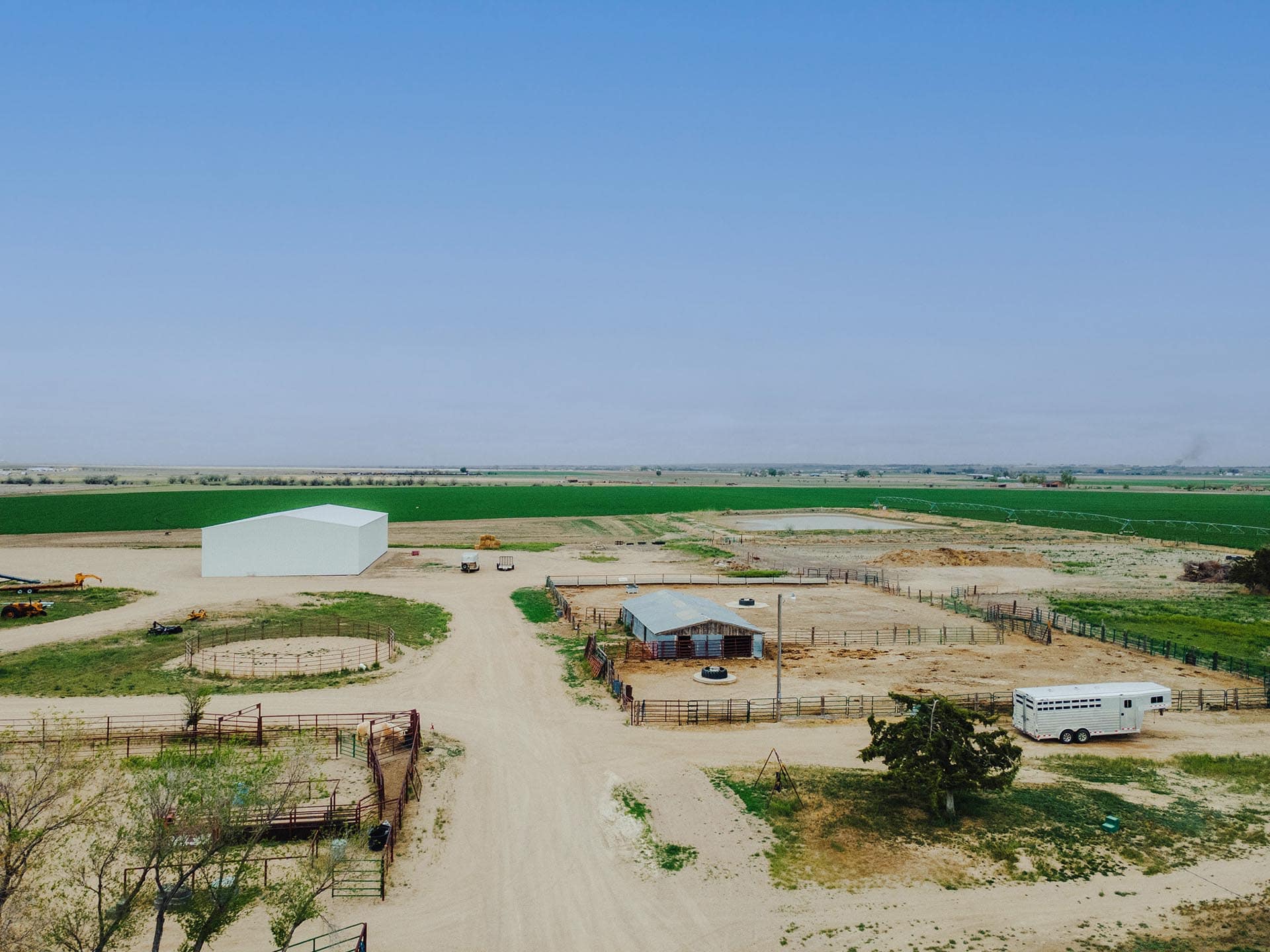 cattle feedlot with scales colorado south swink farm grow yard