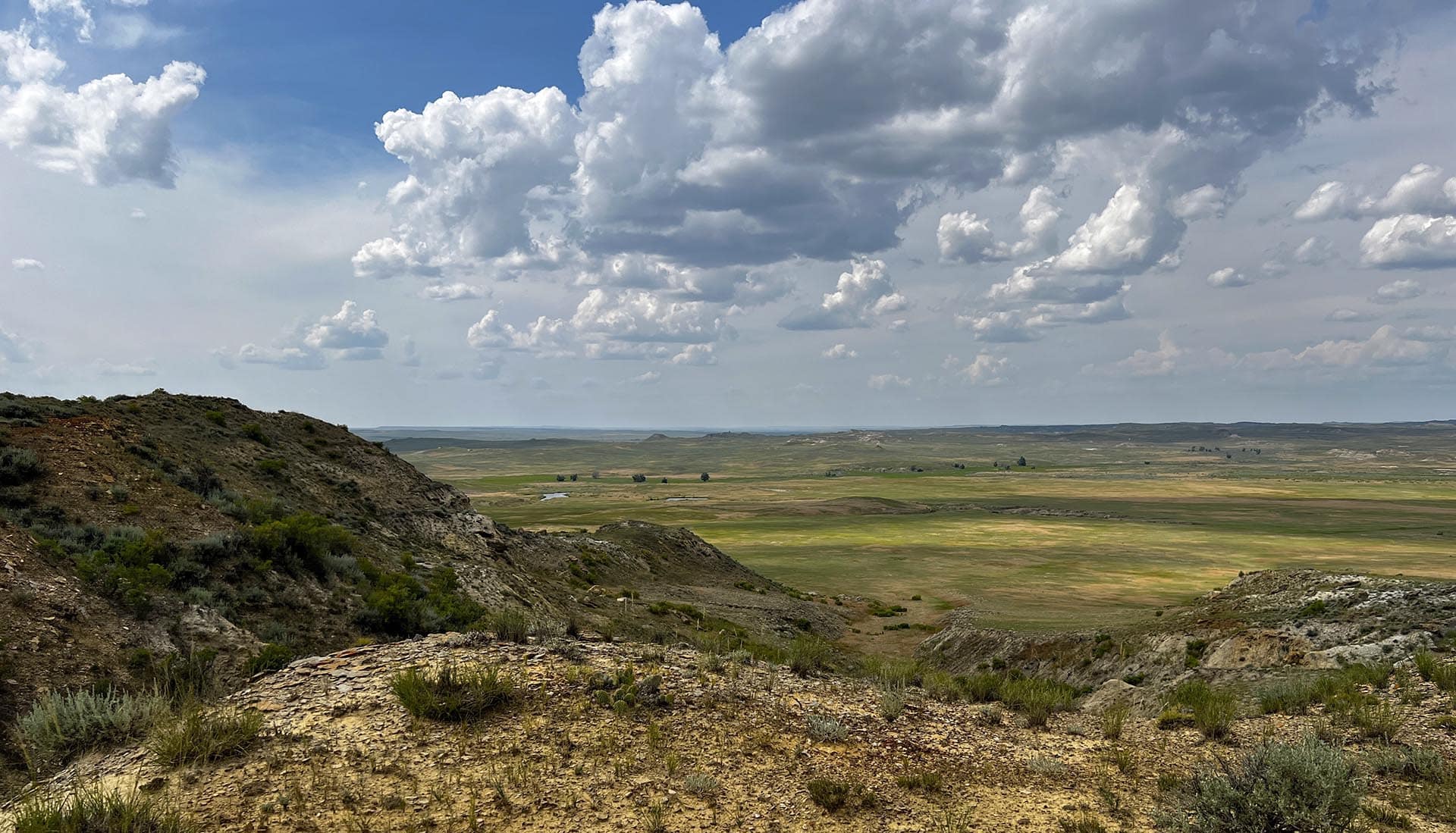 cattle ranch montana over the cliff ranch on little porcupine creek