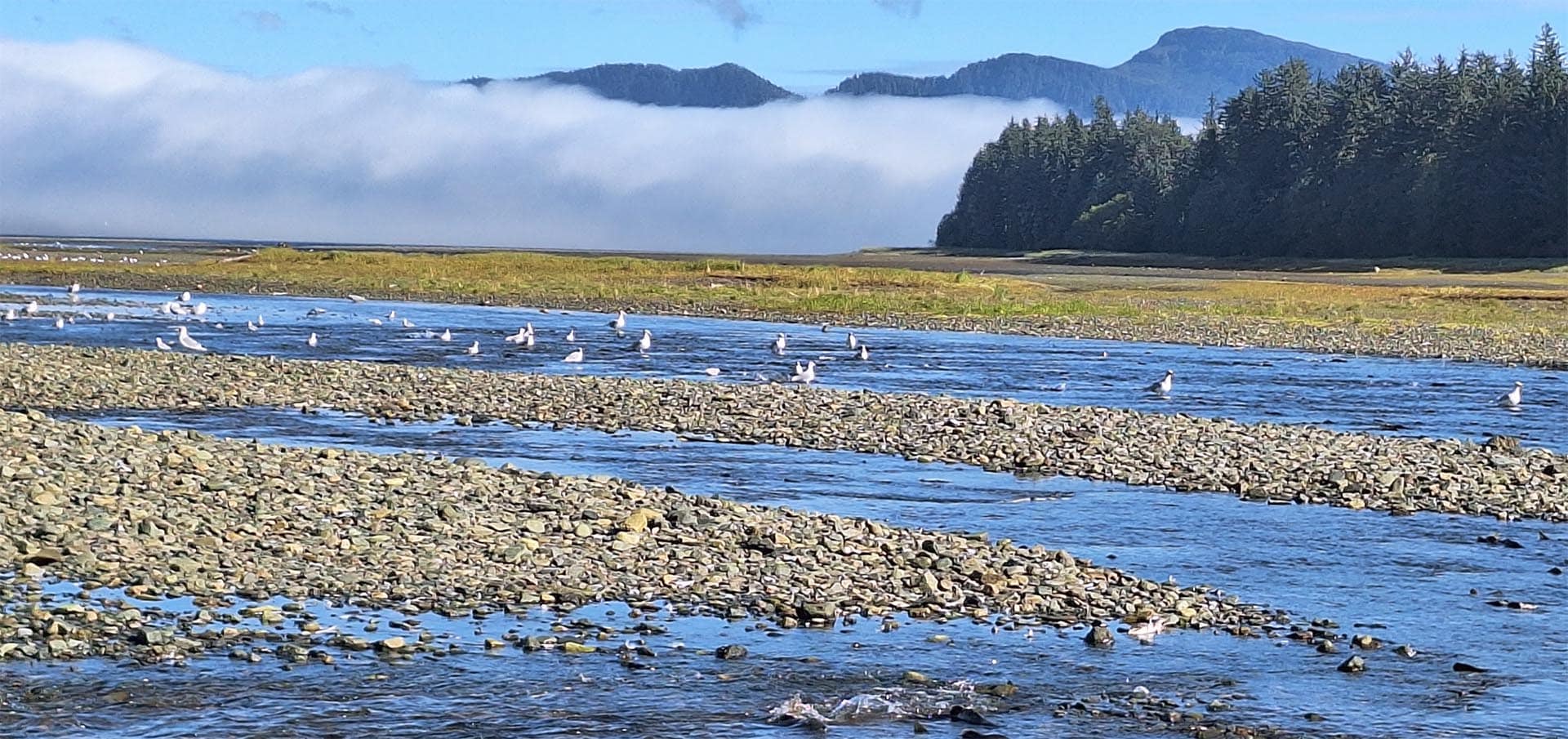 climate alaska hasselborg homestead