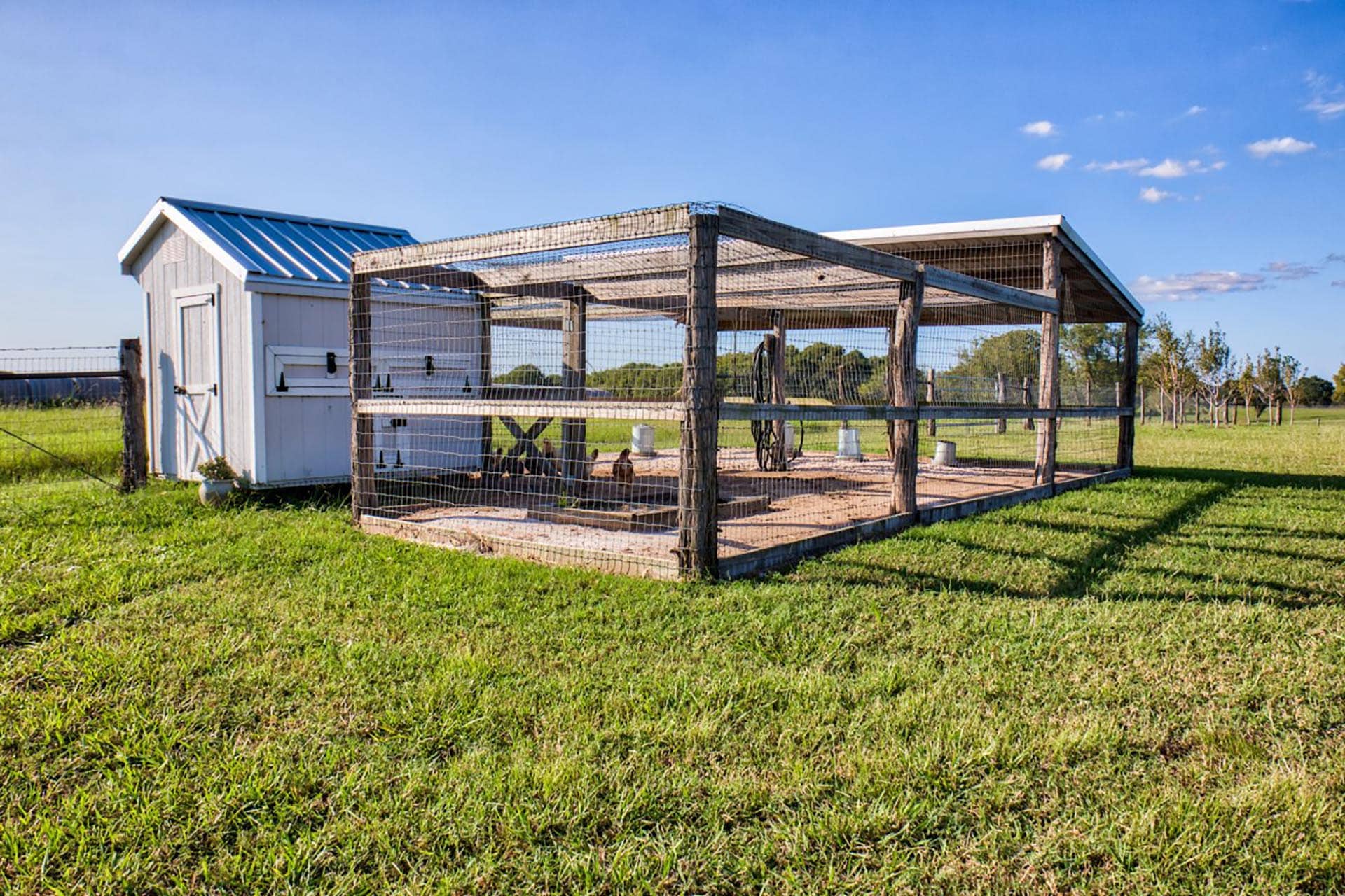 coastal bermuda hay field texas whitehall ranch