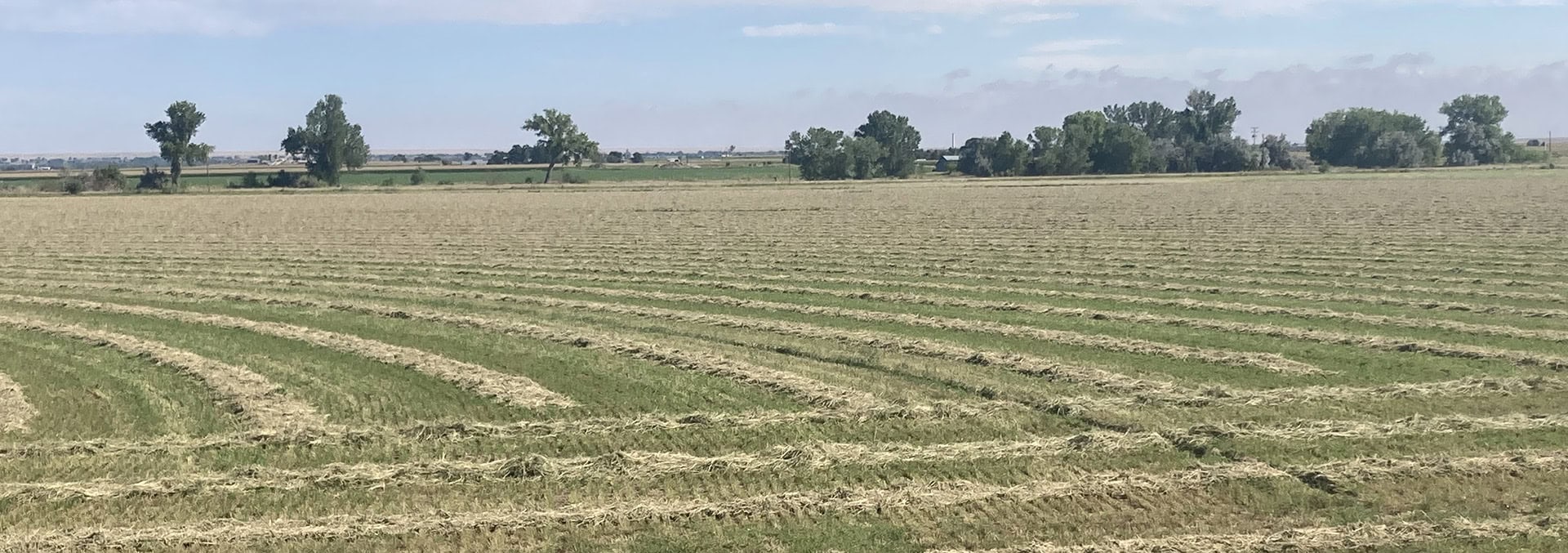 colorado farms for sale south swink farm grow yard
