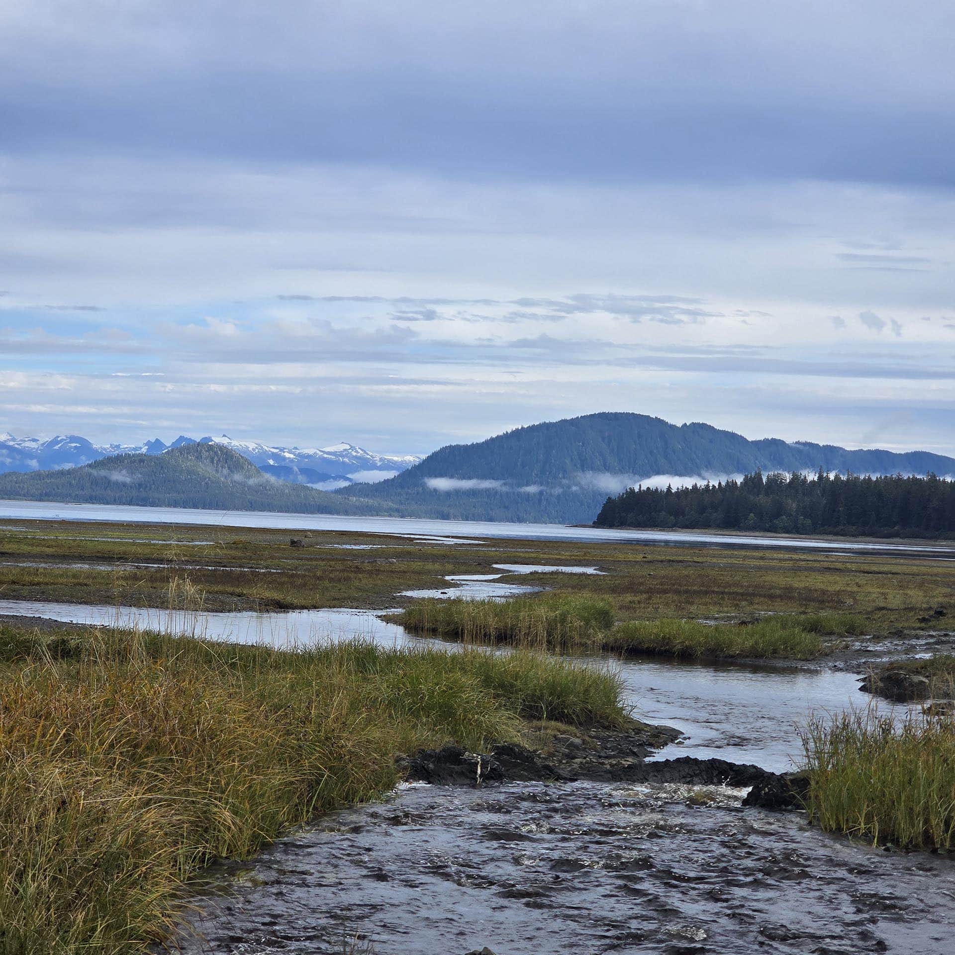 conservation alaska hasselborg homestead