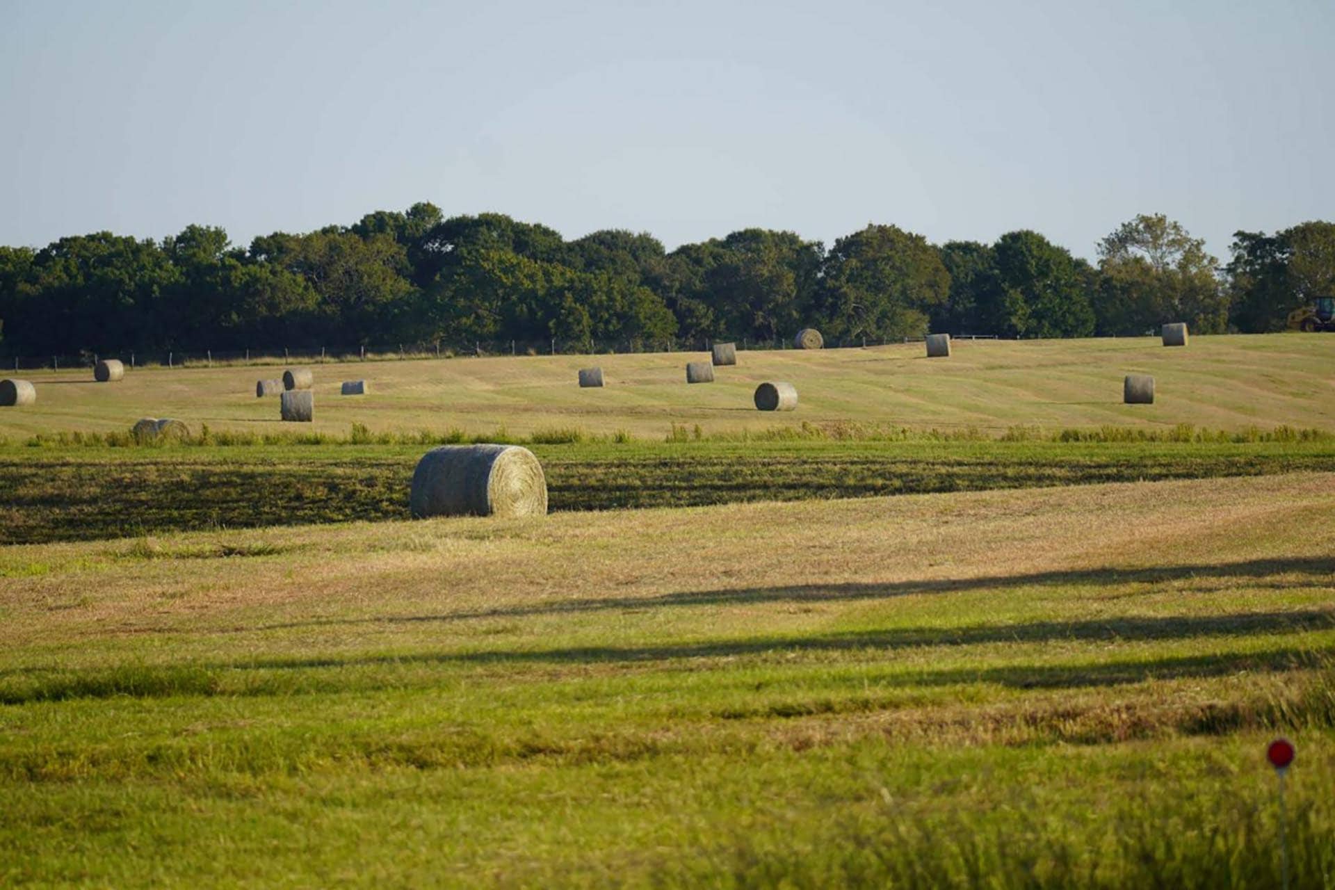 county road frontage ranch texas whitehall ranch