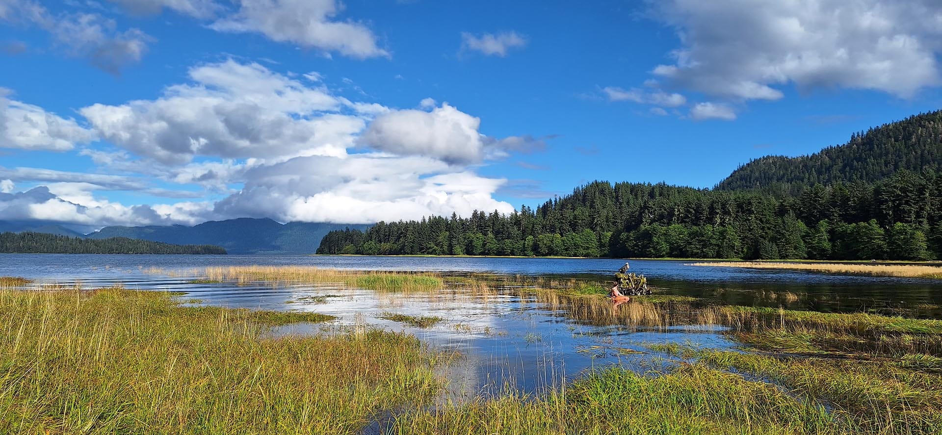cover alaska hasselborg homestead